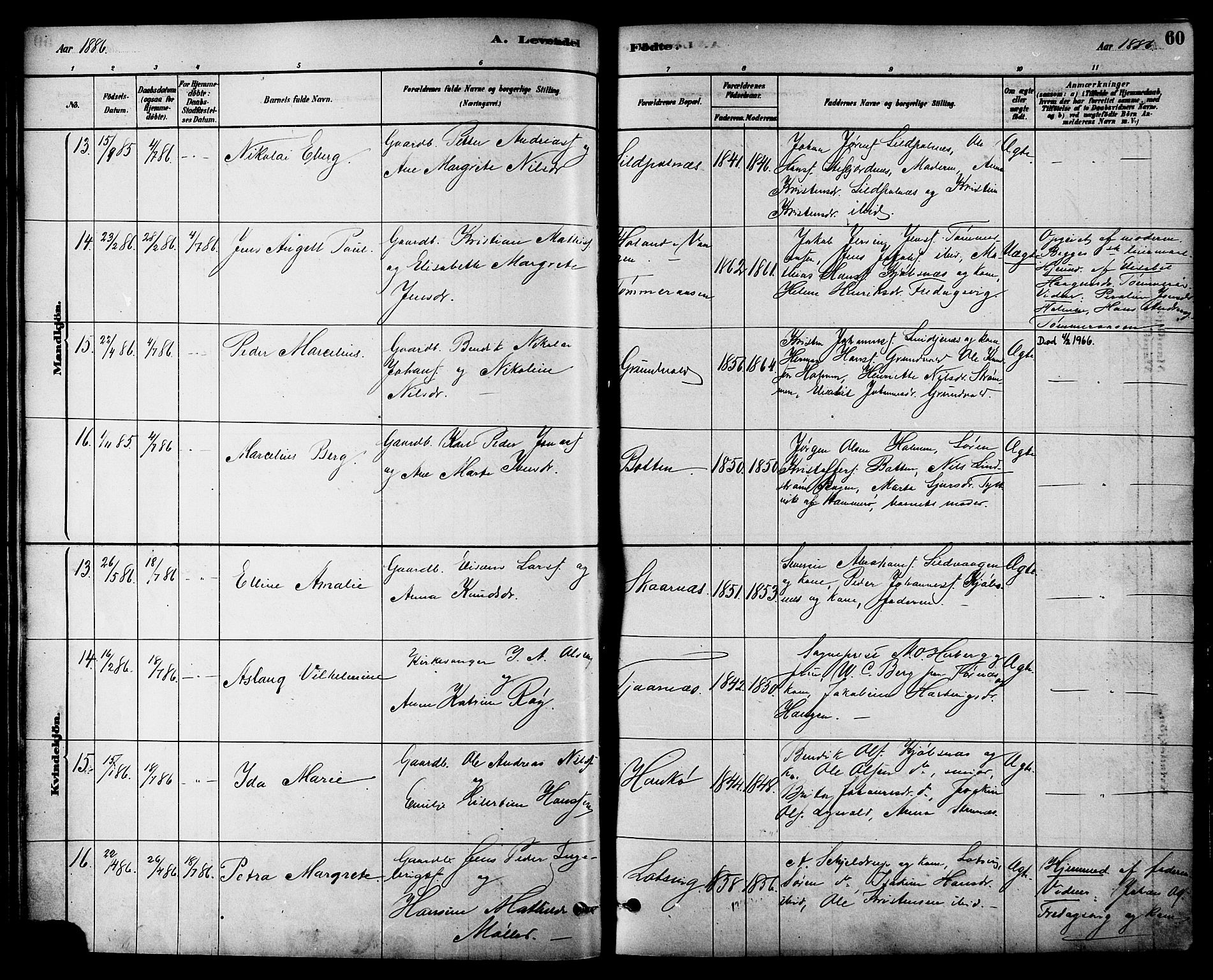 Ministerialprotokoller, klokkerbøker og fødselsregistre - Nordland, AV/SAT-A-1459/861/L0868: Parish register (official) no. 861A03, 1879-1889, p. 60