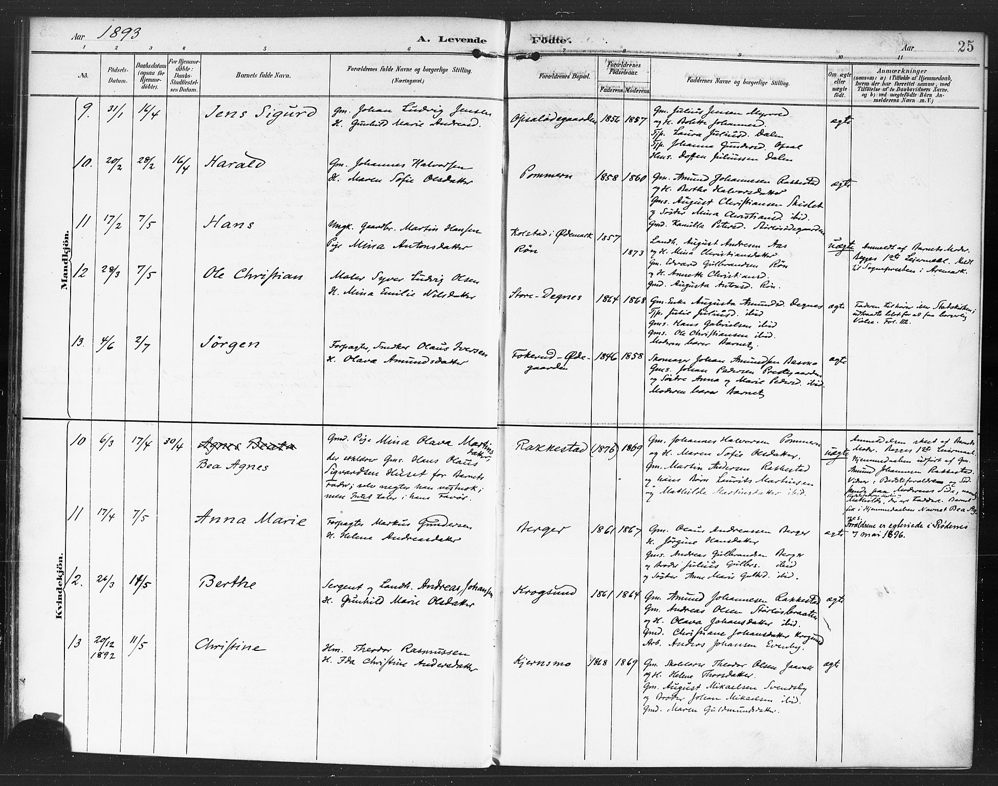 Rødenes prestekontor Kirkebøker, AV/SAO-A-2005/F/Fa/L0010: Parish register (official) no. I 10, 1890-1900, p. 25