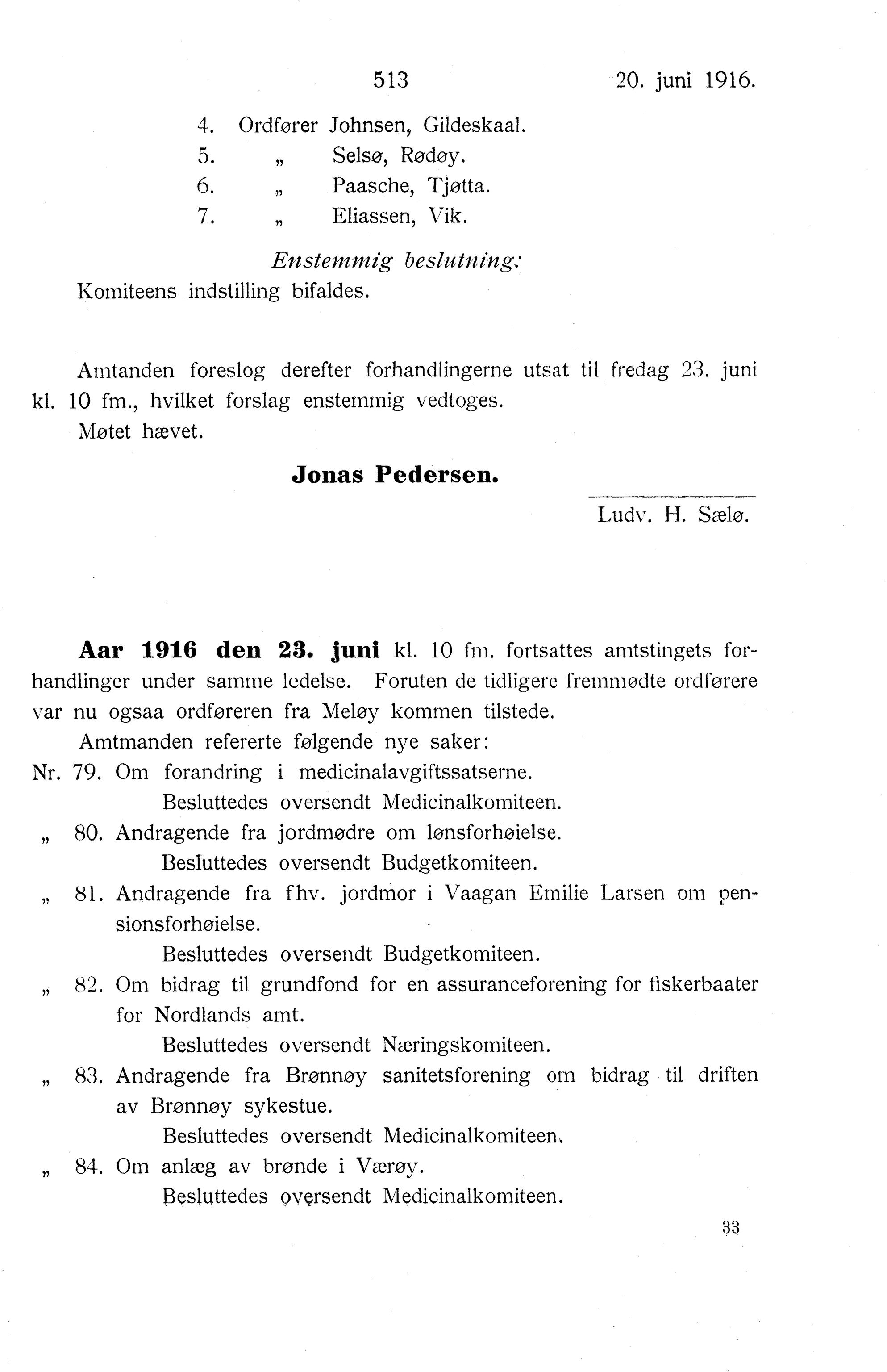 Nordland Fylkeskommune. Fylkestinget, AIN/NFK-17/176/A/Ac/L0039: Fylkestingsforhandlinger 1916, 1916, p. 513