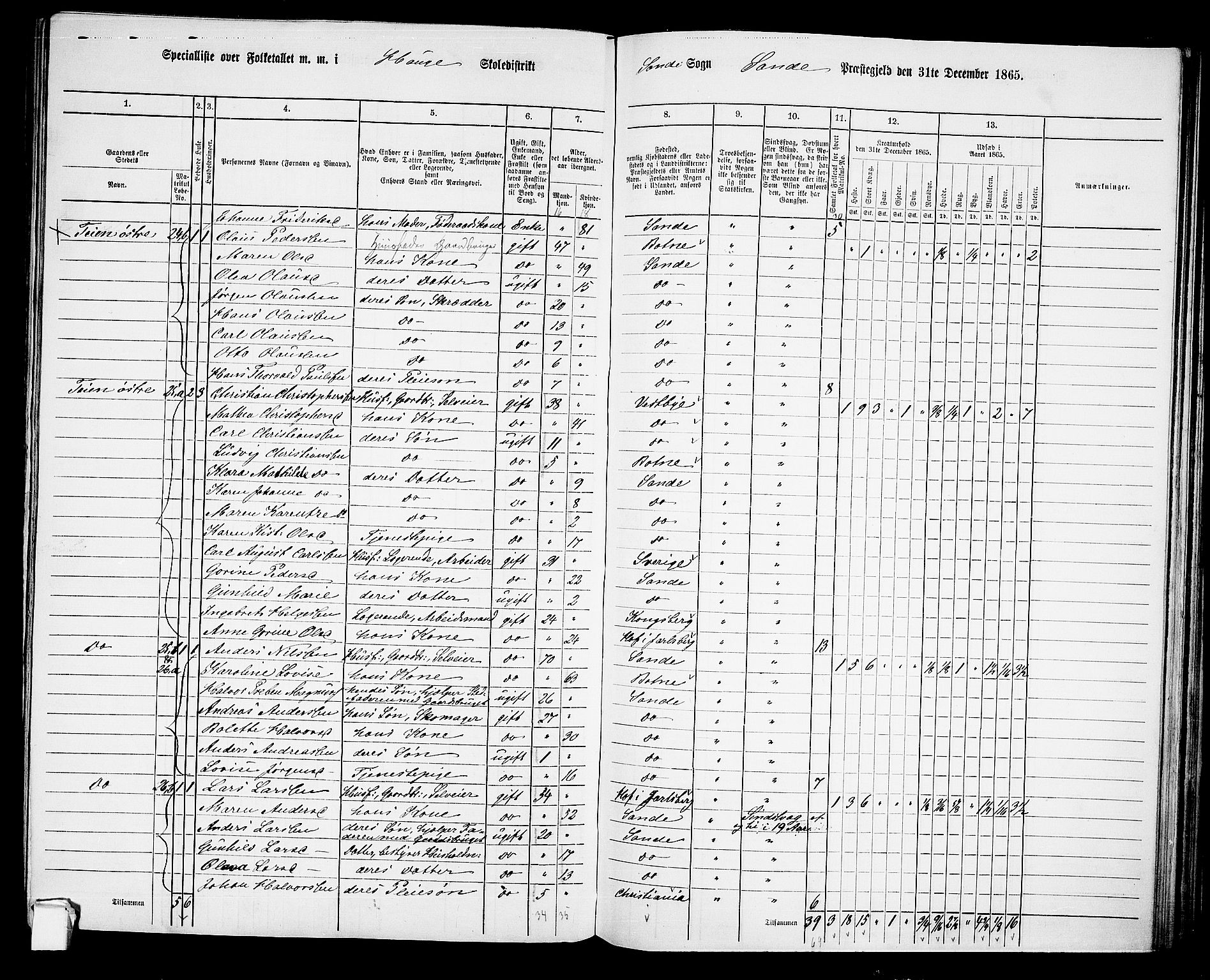 RA, 1865 census for Sande, 1865, p. 35