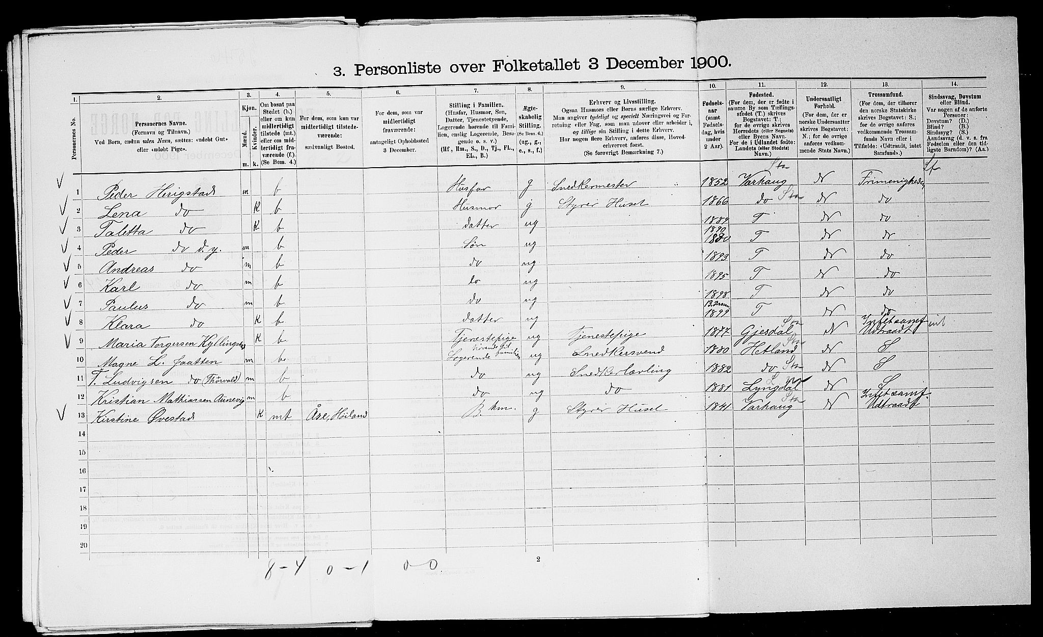 SAST, 1900 census for Stavanger, 1900, p. 9017