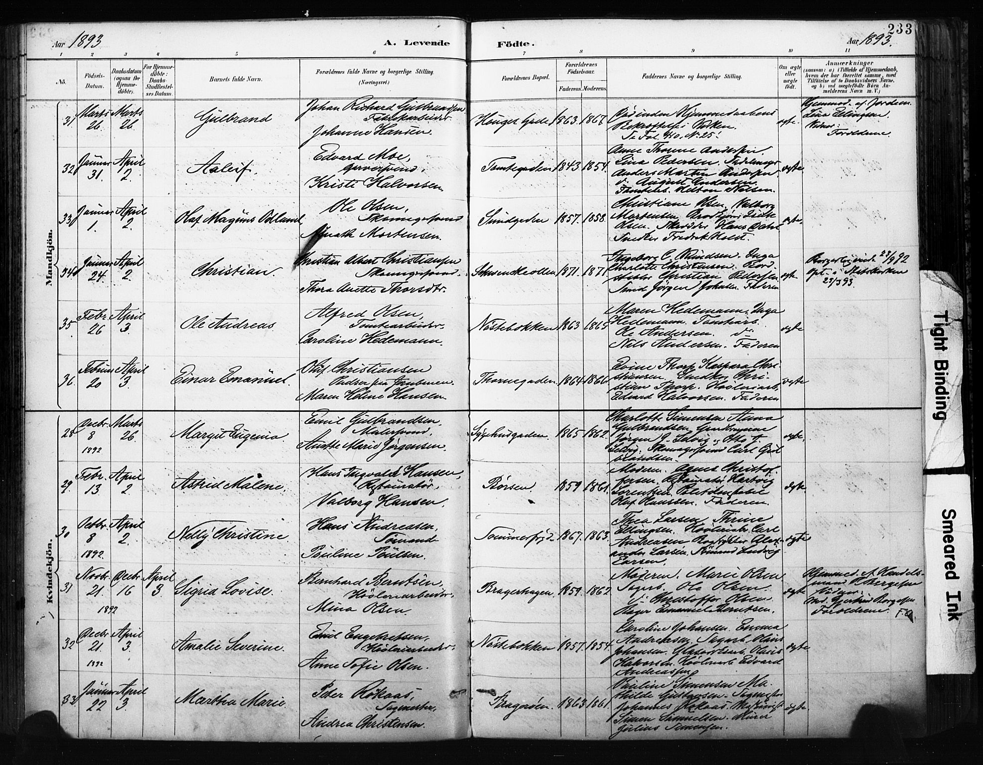 Bragernes kirkebøker, AV/SAKO-A-6/F/Fb/L0007: Parish register (official) no. II 7, 1885-1893, p. 233