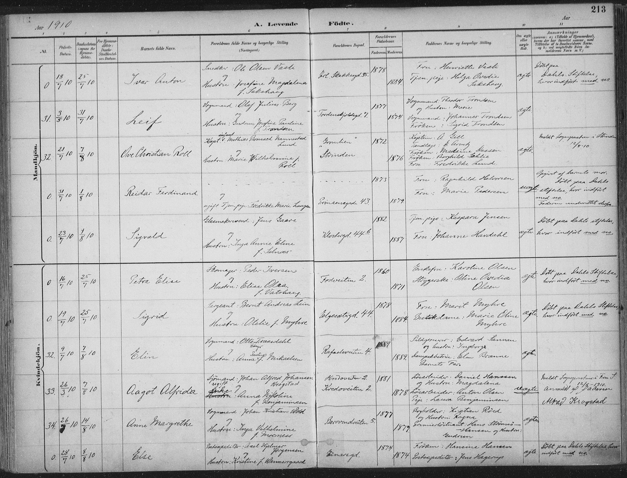 Ministerialprotokoller, klokkerbøker og fødselsregistre - Sør-Trøndelag, SAT/A-1456/601/L0062: Parish register (official) no. 601A30, 1891-1911, p. 213