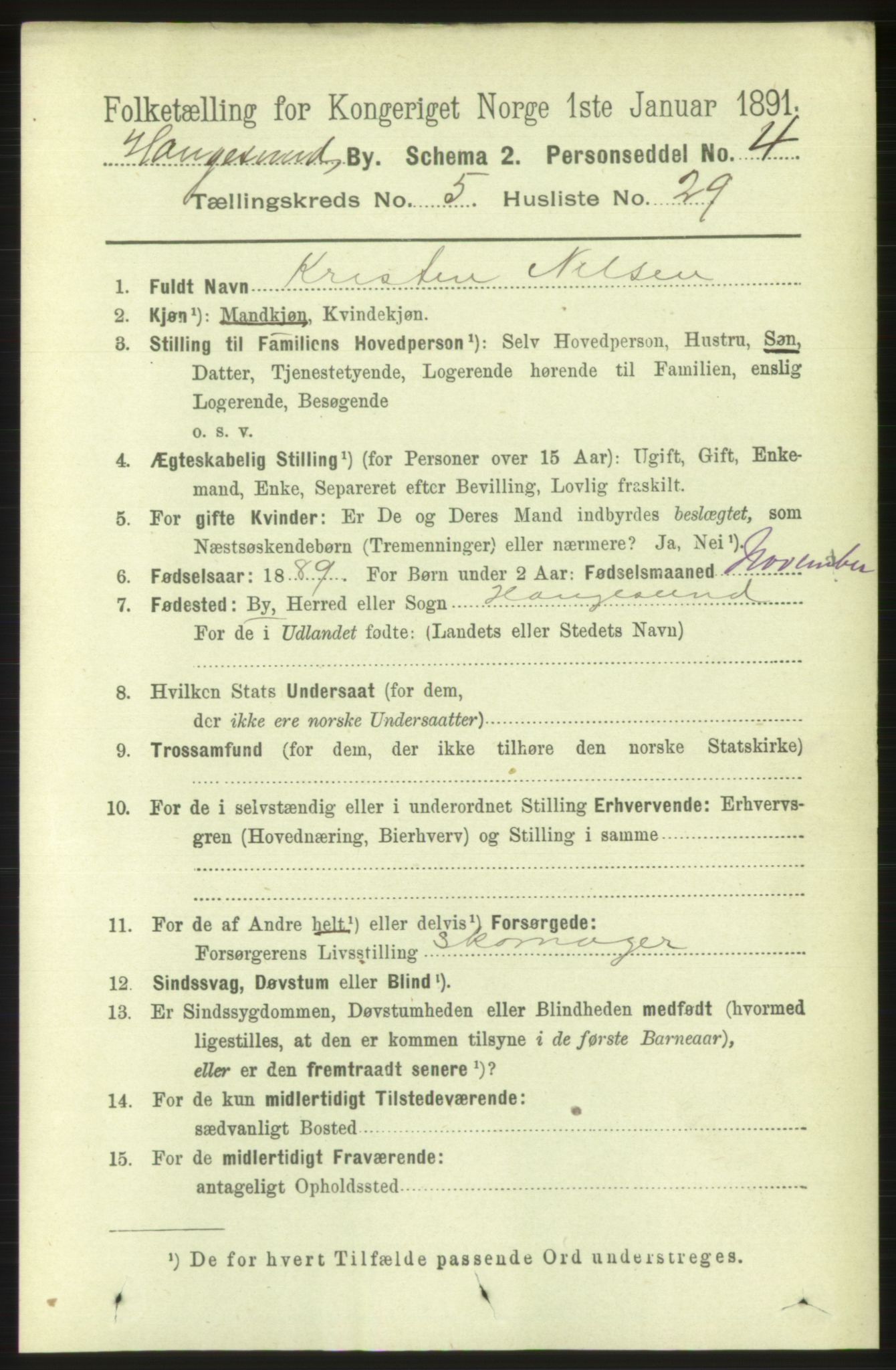RA, 1891 census for 1106 Haugesund, 1891, p. 2522