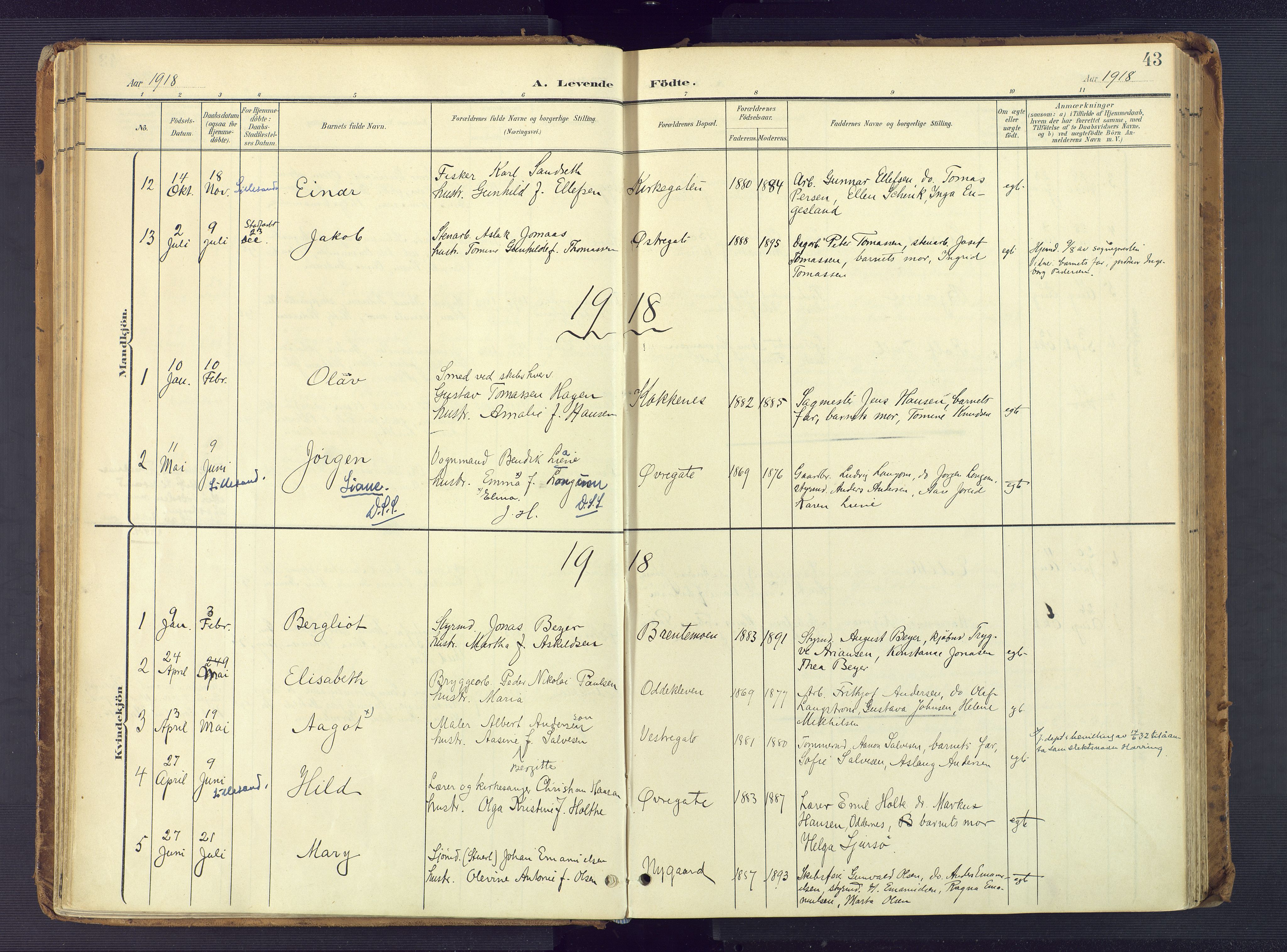 Vestre Moland sokneprestkontor, SAK/1111-0046/F/Fa/Faa/L0002: Parish register (official) no. A 2, 1900-1926, p. 43