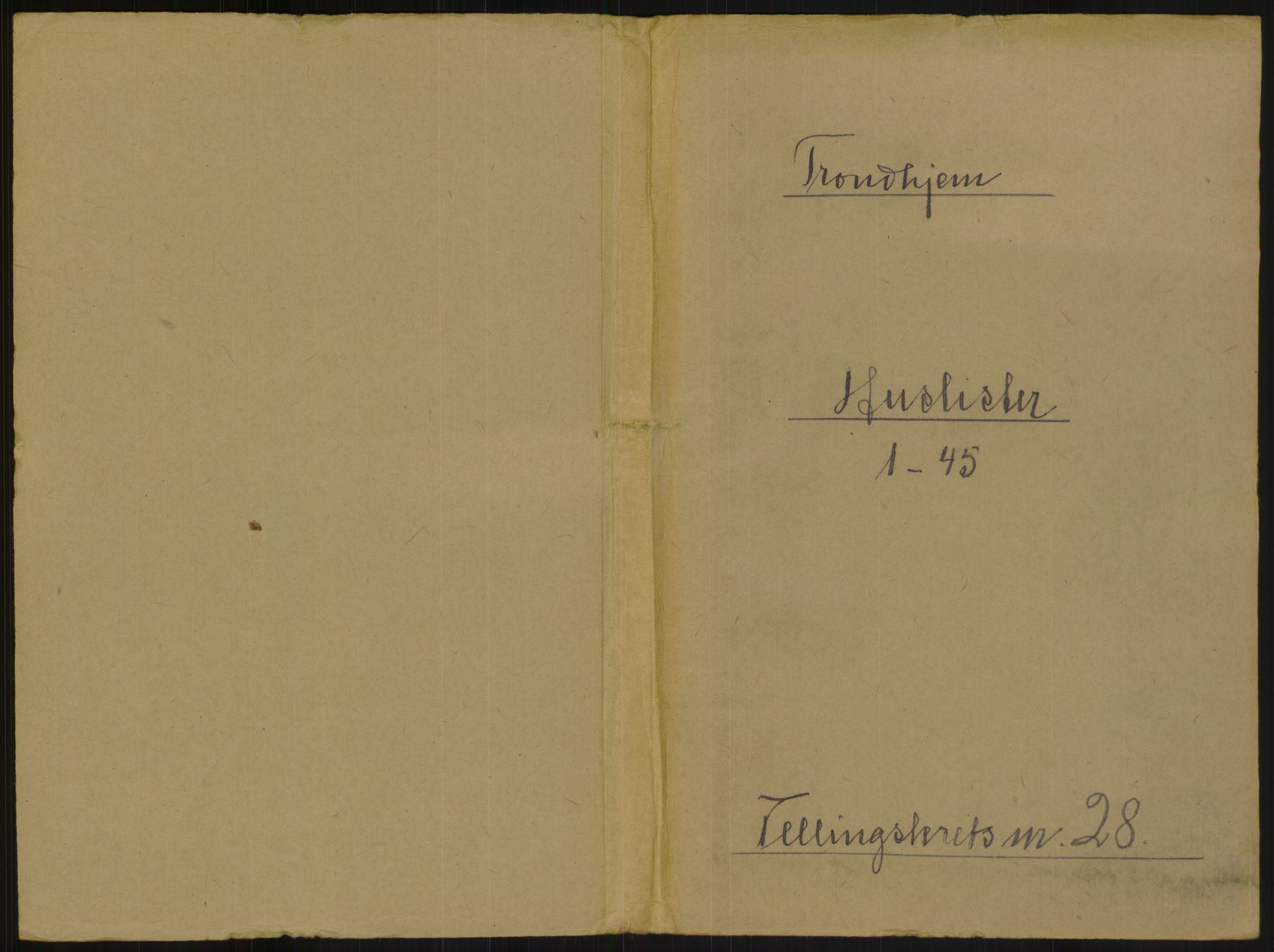 RA, 1891 census for 1601 Trondheim, 1891, p. 1984