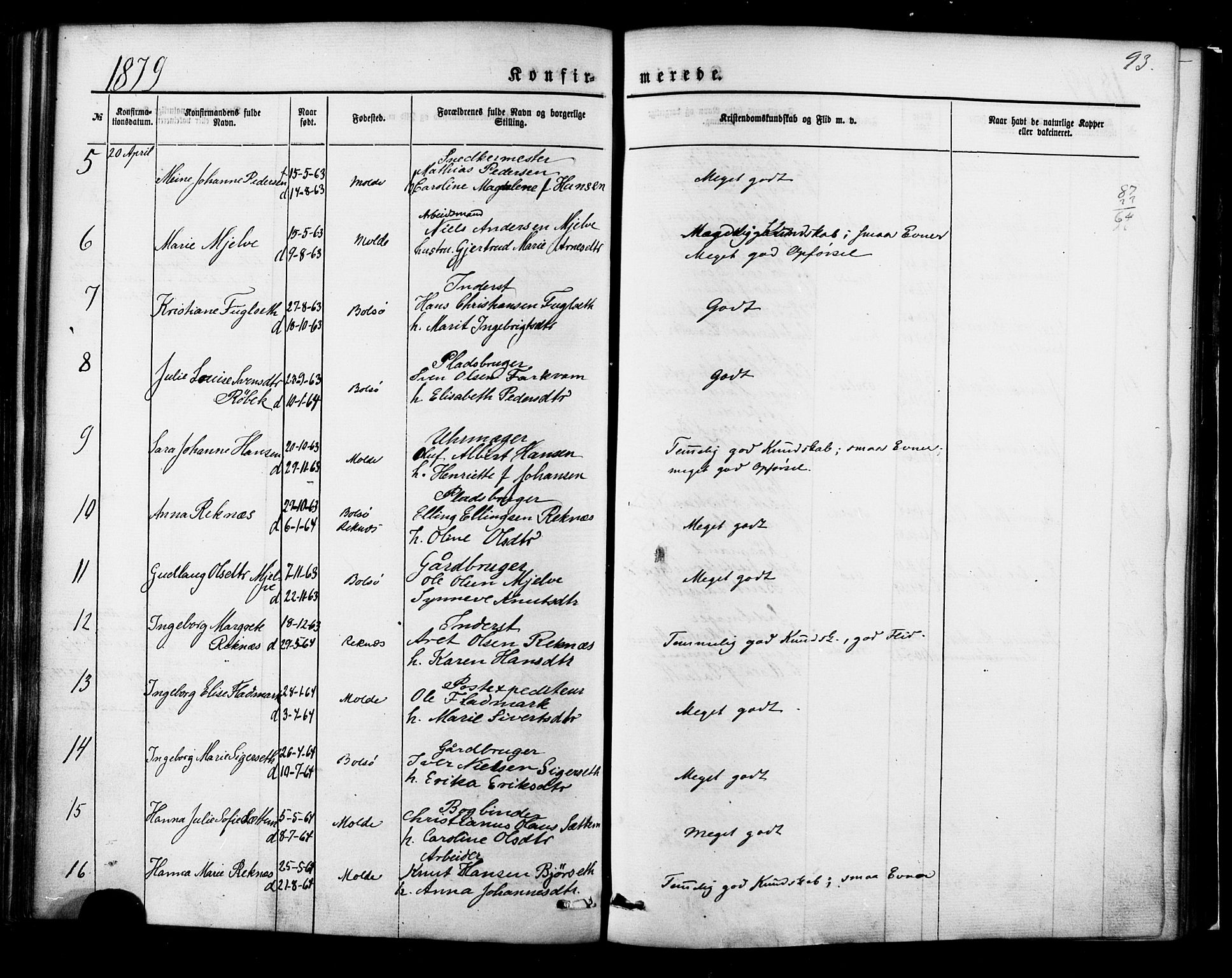 Ministerialprotokoller, klokkerbøker og fødselsregistre - Møre og Romsdal, AV/SAT-A-1454/558/L0691: Parish register (official) no. 558A05, 1873-1886, p. 93