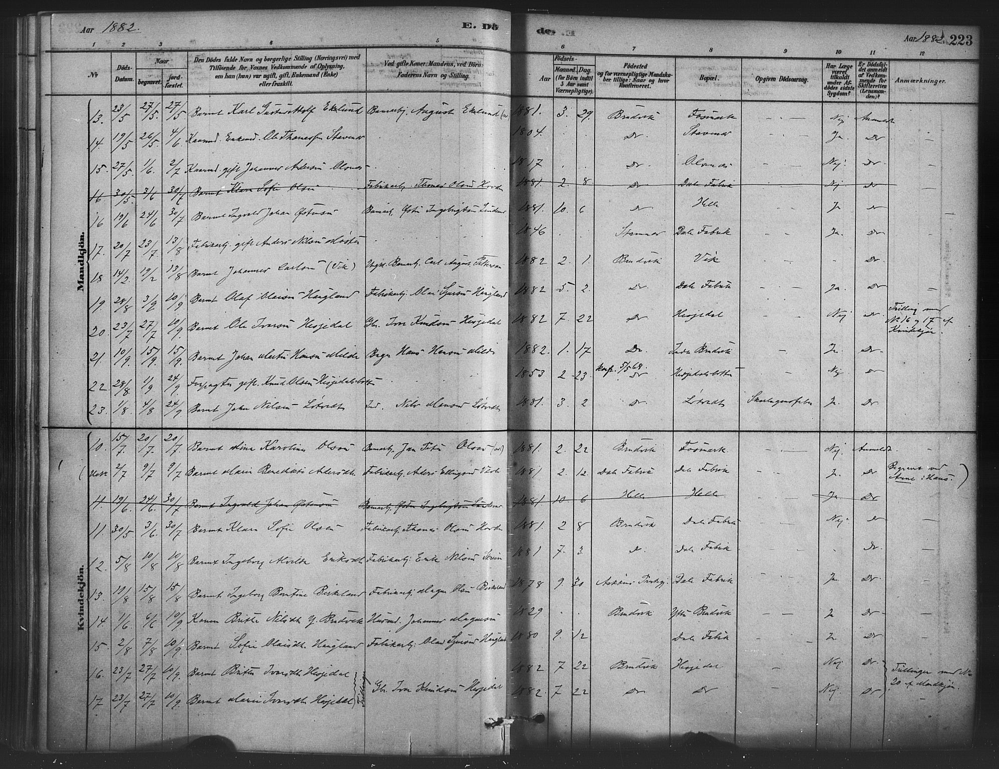 Bruvik Sokneprestembete, SAB/A-74701/H/Haa: Parish register (official) no. B 1, 1878-1904, p. 223