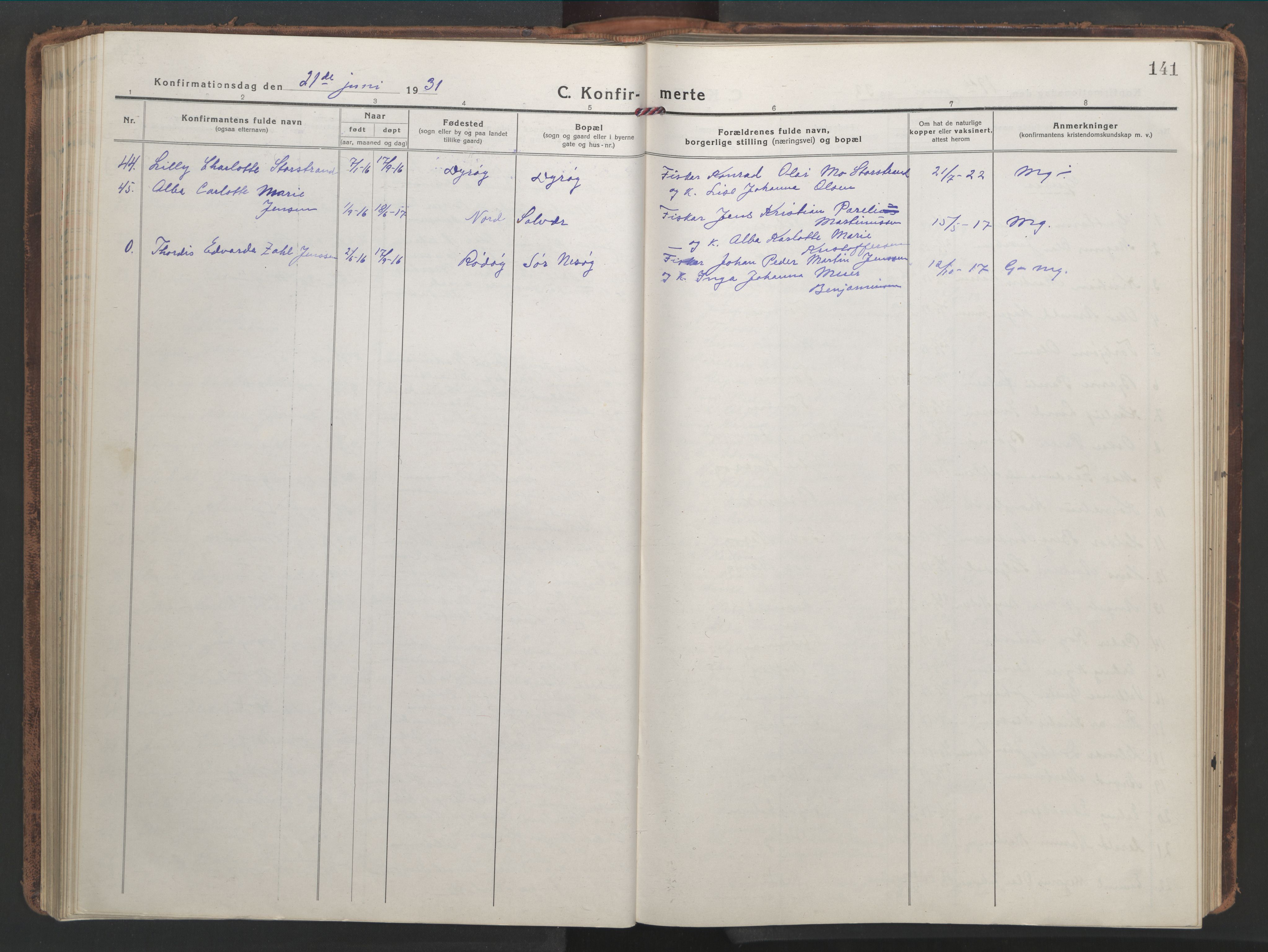 Ministerialprotokoller, klokkerbøker og fødselsregistre - Nordland, AV/SAT-A-1459/839/L0574: Parish register (copy) no. 839C04, 1918-1950, p. 141