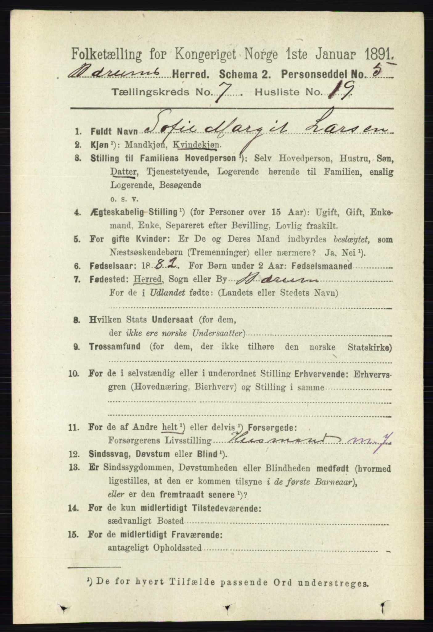 RA, 1891 census for 0219 Bærum, 1891, p. 4257