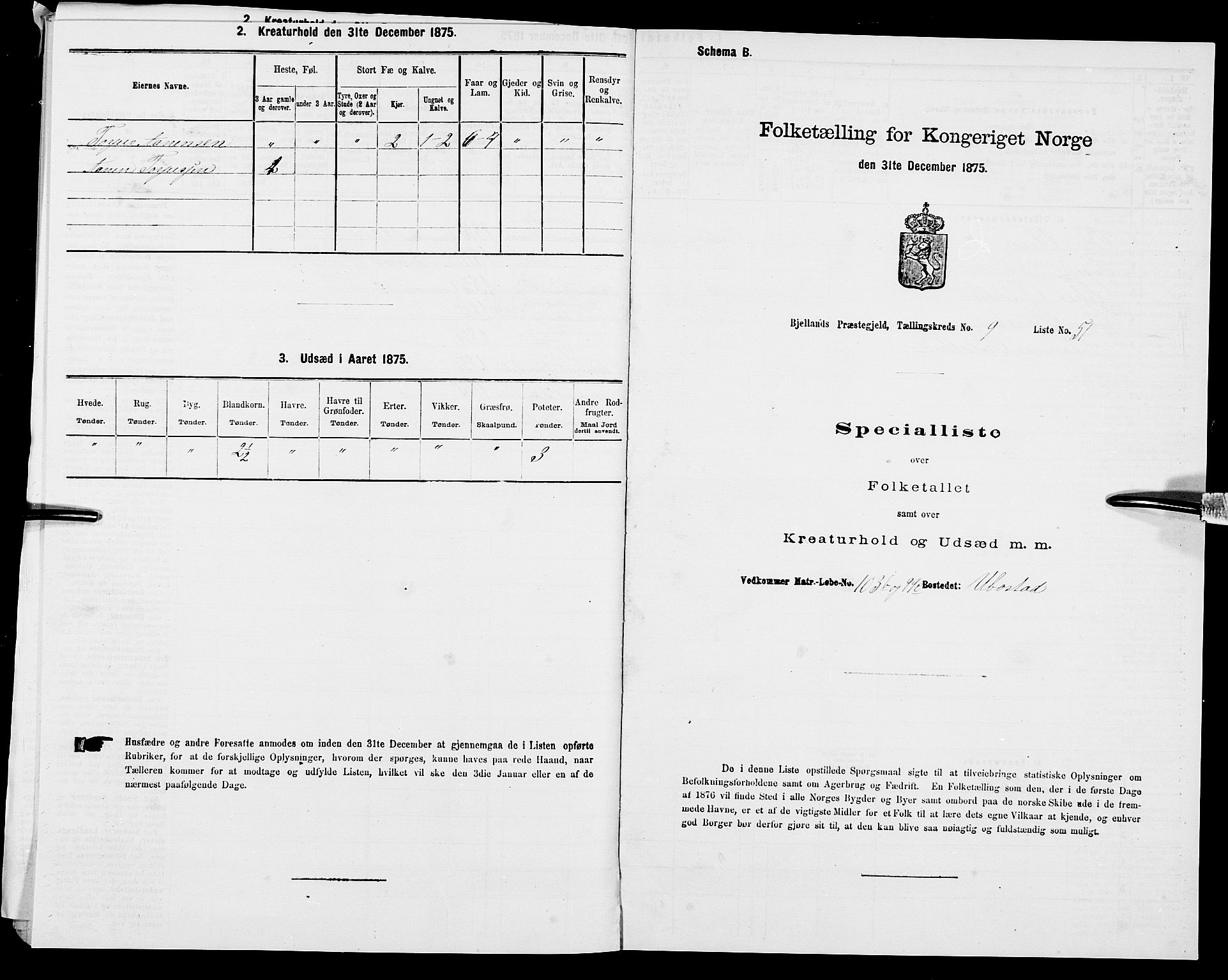 SAK, 1875 census for 1024P Bjelland, 1875, p. 728