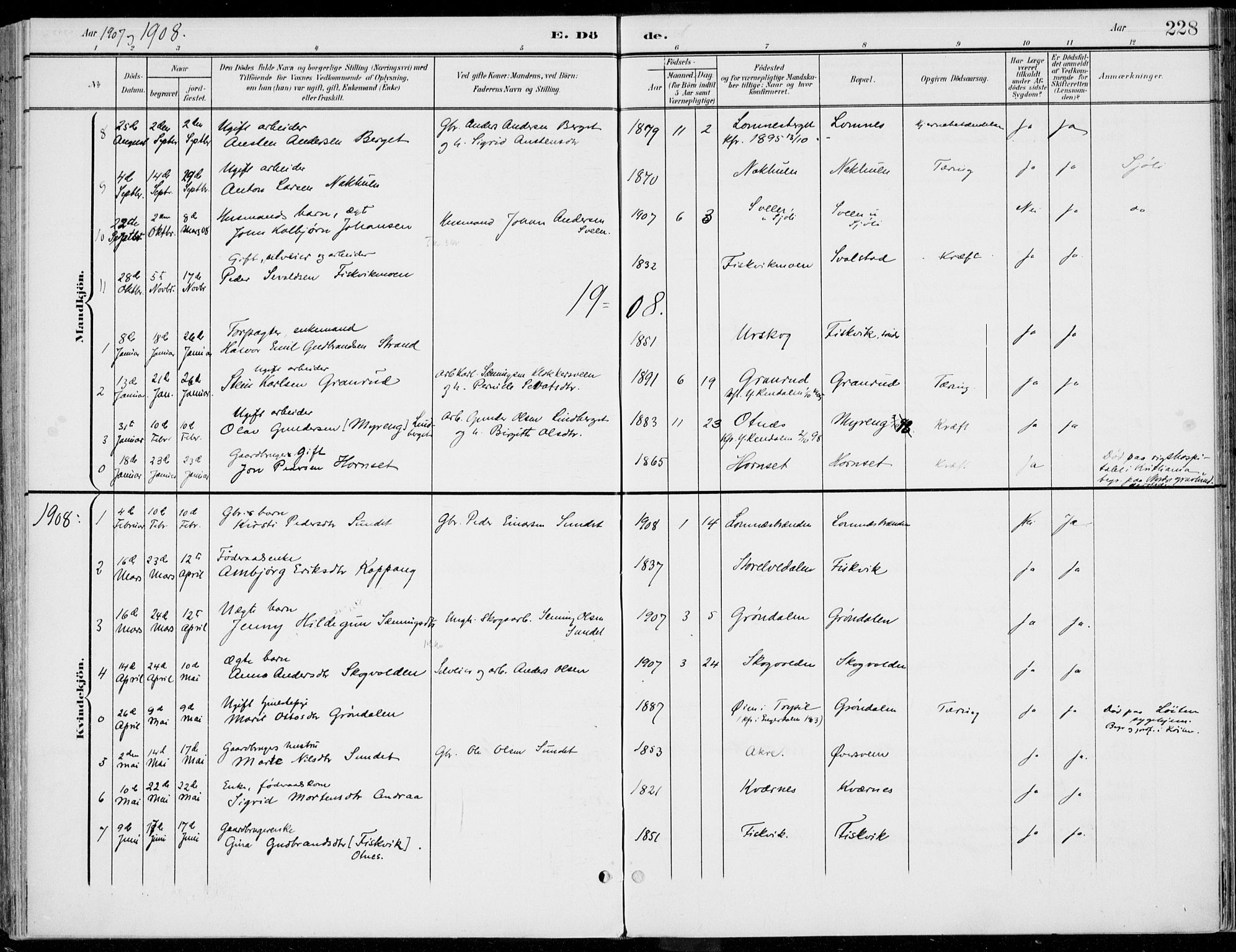 Rendalen prestekontor, SAH/PREST-054/H/Ha/Haa/L0011: Parish register (official) no. 11, 1901-1925, p. 228