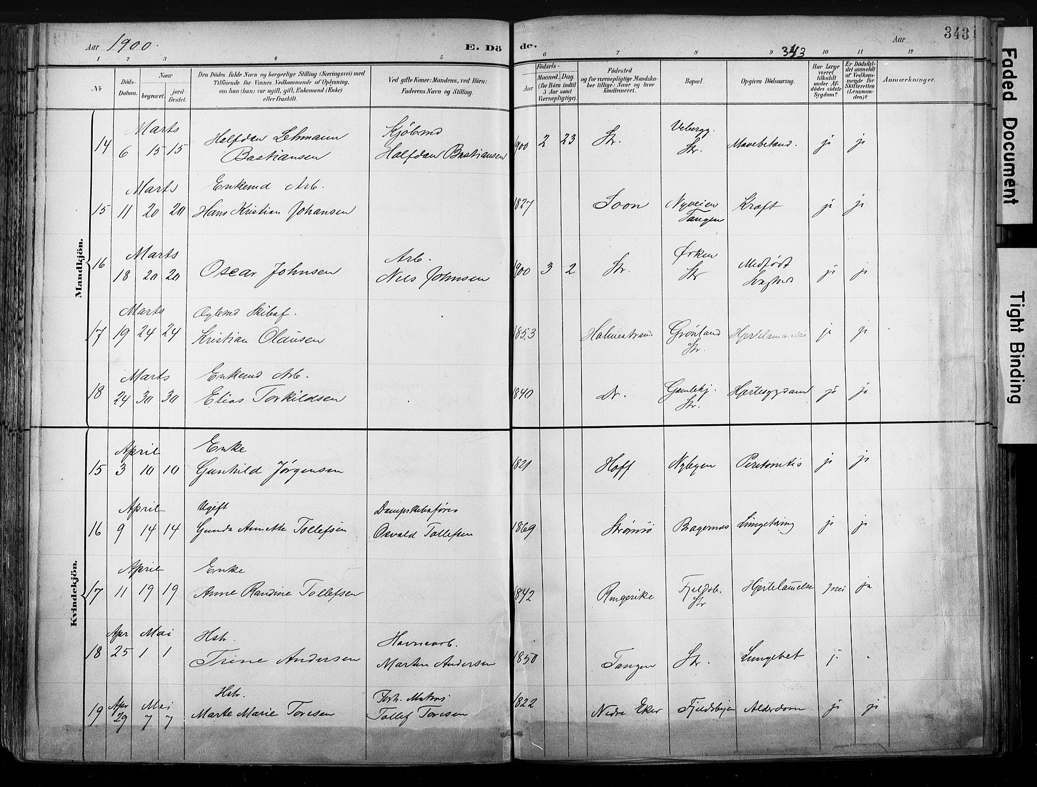 Strømsø kirkebøker, AV/SAKO-A-246/G/Ga/L0003: Parish register (copy) no. 3, 1894-1904, p. 343