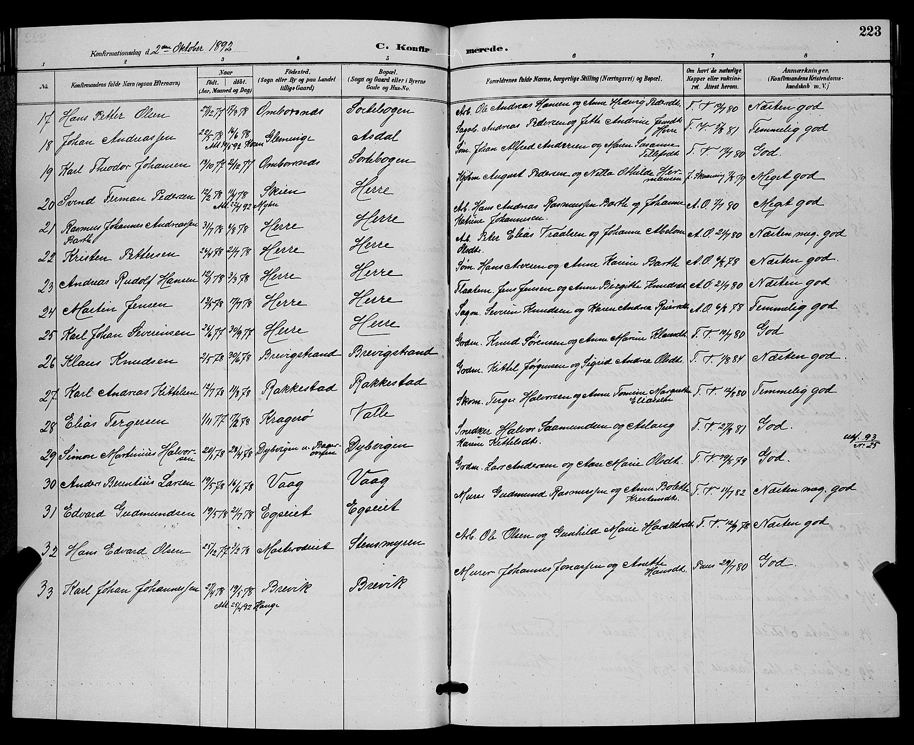 Bamble kirkebøker, AV/SAKO-A-253/G/Ga/L0009: Parish register (copy) no. I 9, 1888-1900, p. 223