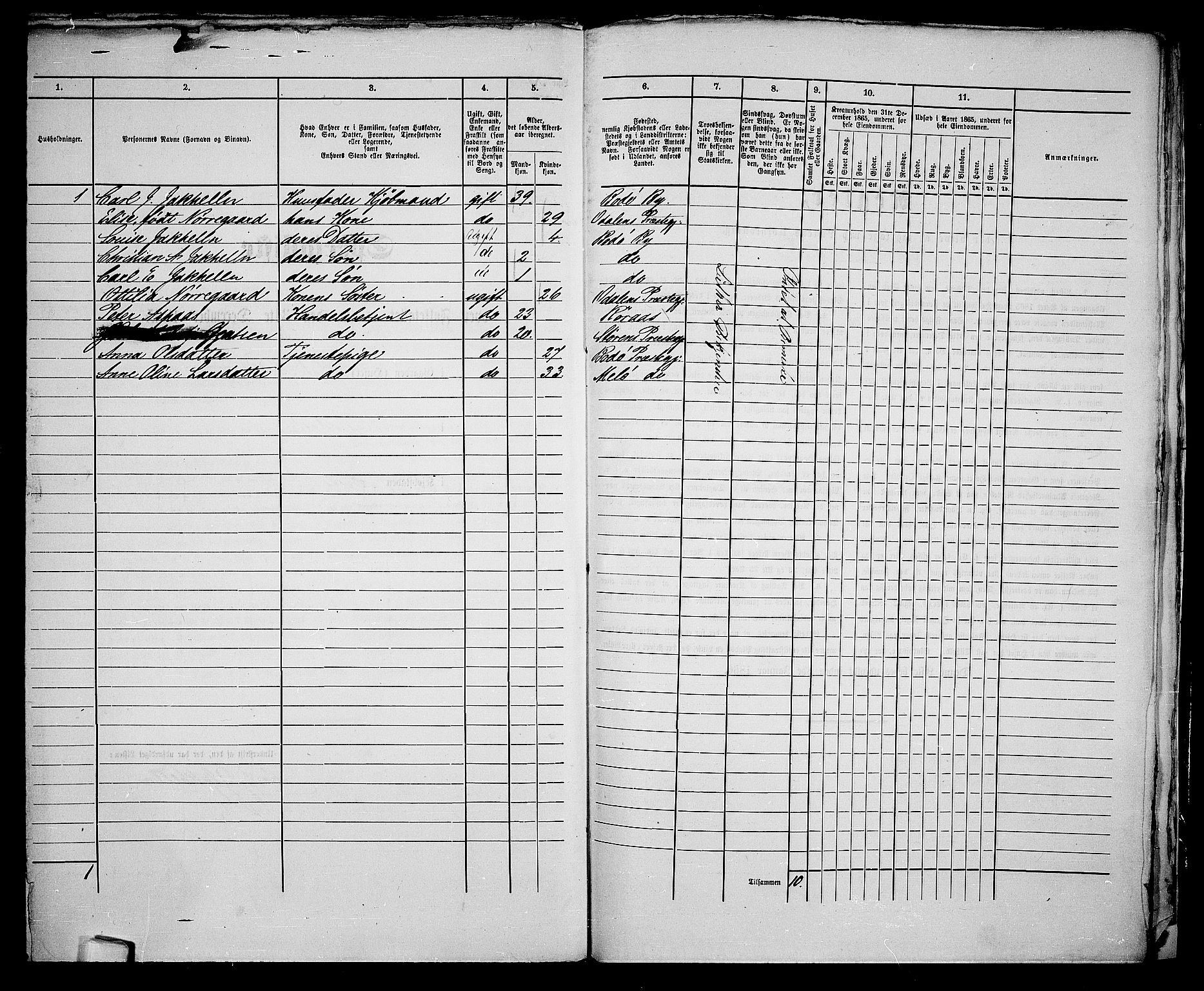 RA, 1865 census for Bodø/Bodø, 1865, p. 138