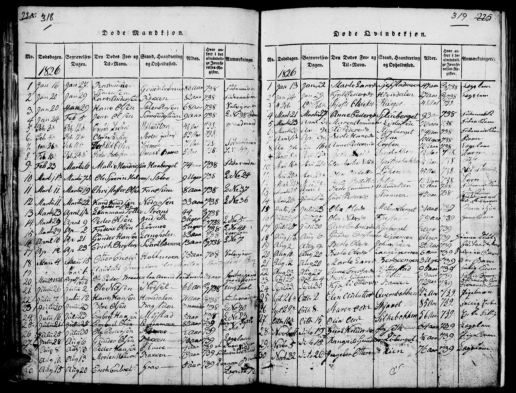 Elverum prestekontor, AV/SAH-PREST-044/H/Ha/Hab/L0001: Parish register (copy) no. 1, 1815-1829, p. 318-319