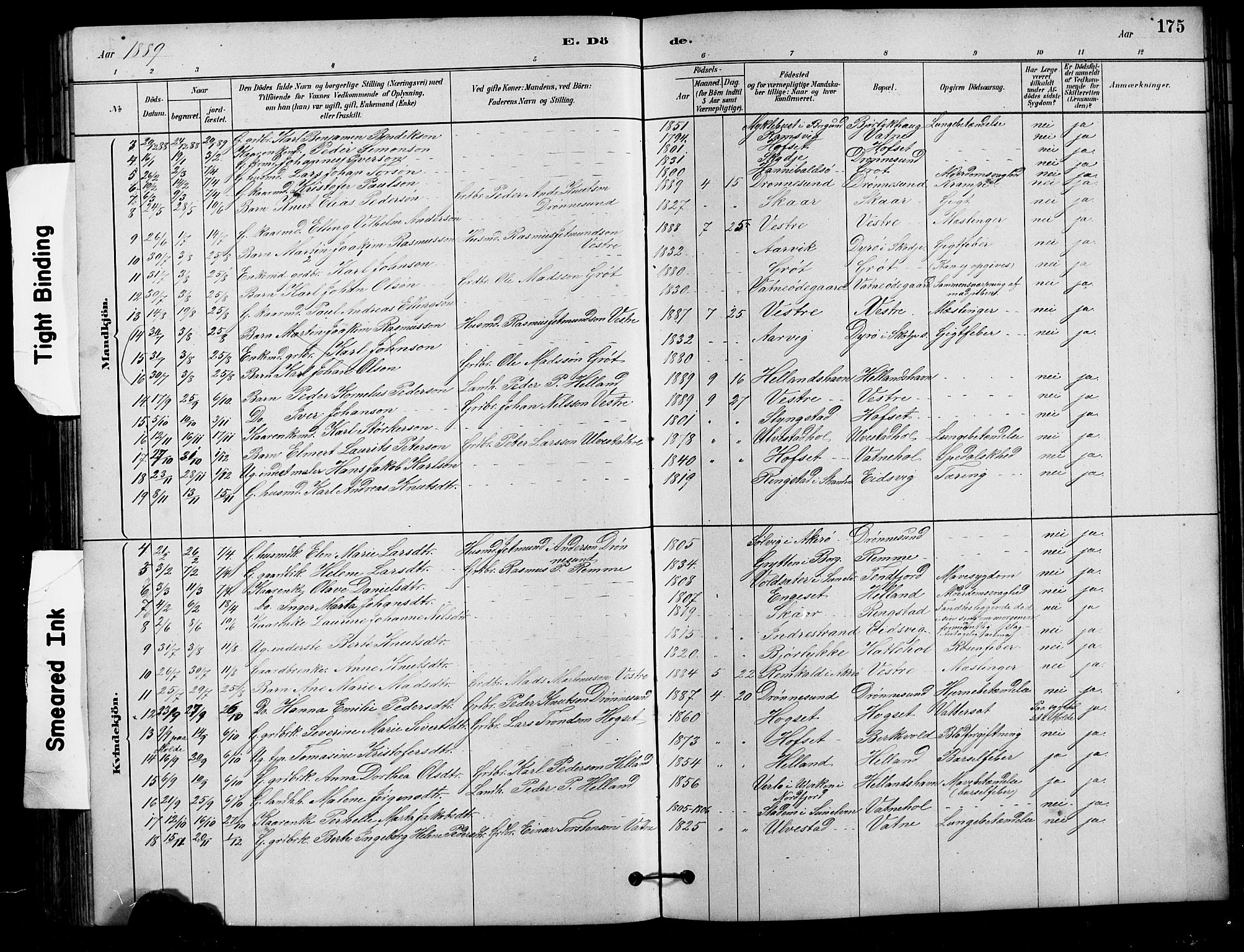 Ministerialprotokoller, klokkerbøker og fødselsregistre - Møre og Romsdal, AV/SAT-A-1454/525/L0376: Parish register (copy) no. 525C02, 1880-1902, p. 175