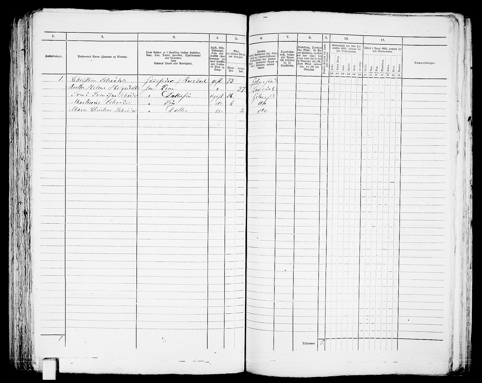 RA, 1865 census for Botne/Holmestrand, 1865, p. 224