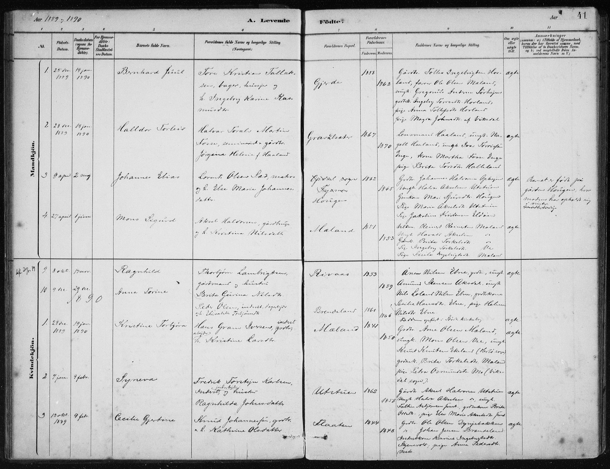 Etne sokneprestembete, SAB/A-75001/H/Haa: Parish register (official) no. C  1, 1879-1919, p. 41