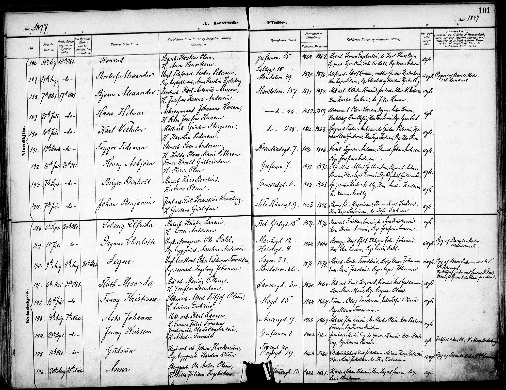 Sagene prestekontor Kirkebøker, SAO/A-10796/F/L0004: Parish register (official) no. 4, 1894-1904, p. 101