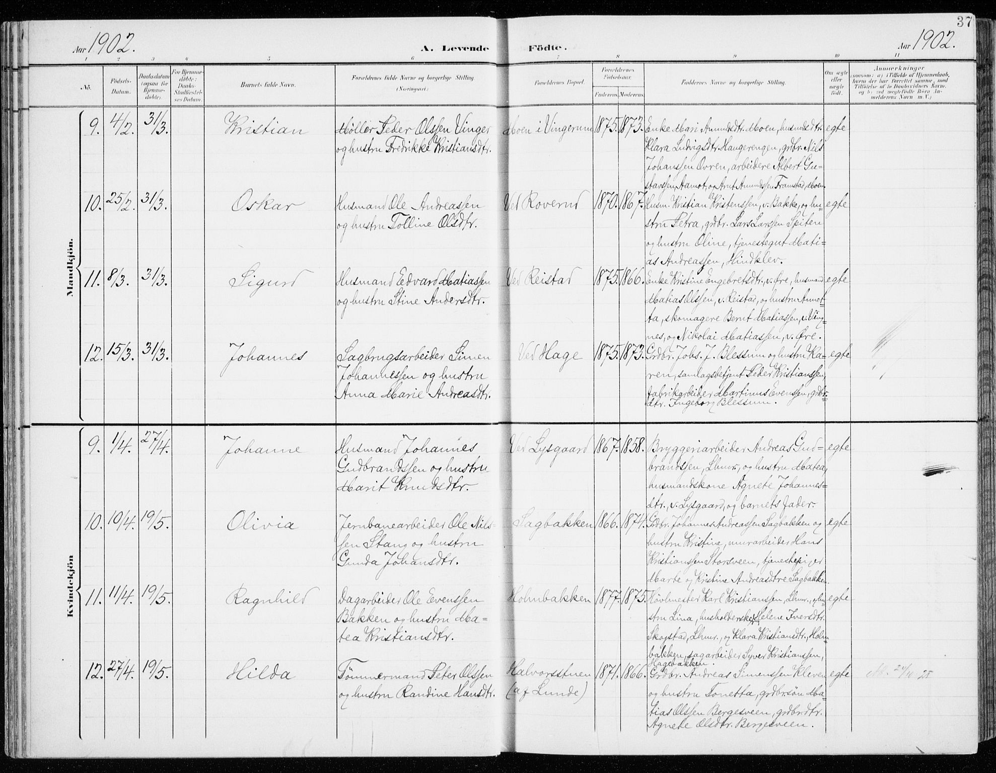 Fåberg prestekontor, AV/SAH-PREST-086/H/Ha/Haa/L0011: Parish register (official) no. 11, 1899-1913, p. 37