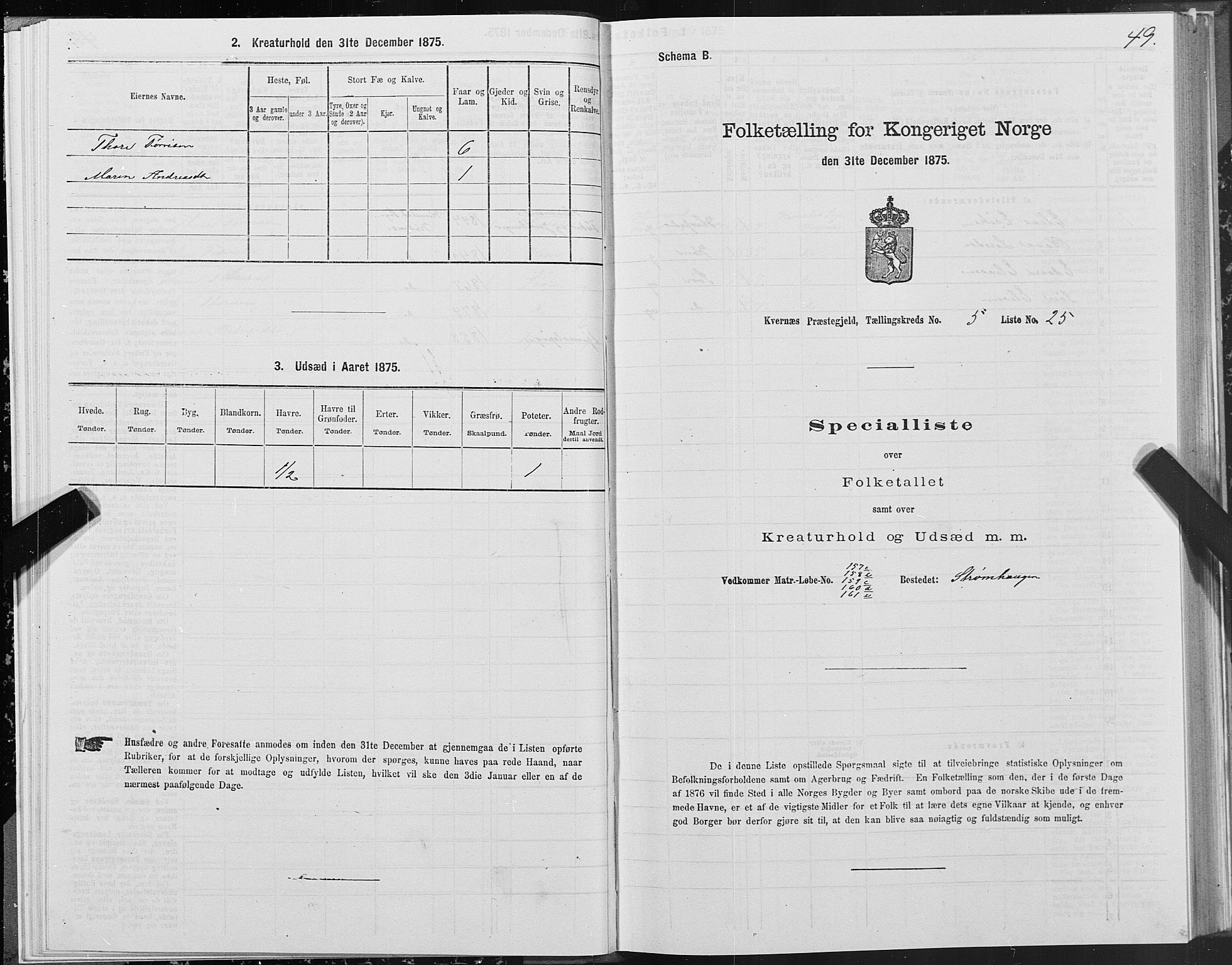 SAT, 1875 census for 1553P Kvernes, 1875, p. 3049