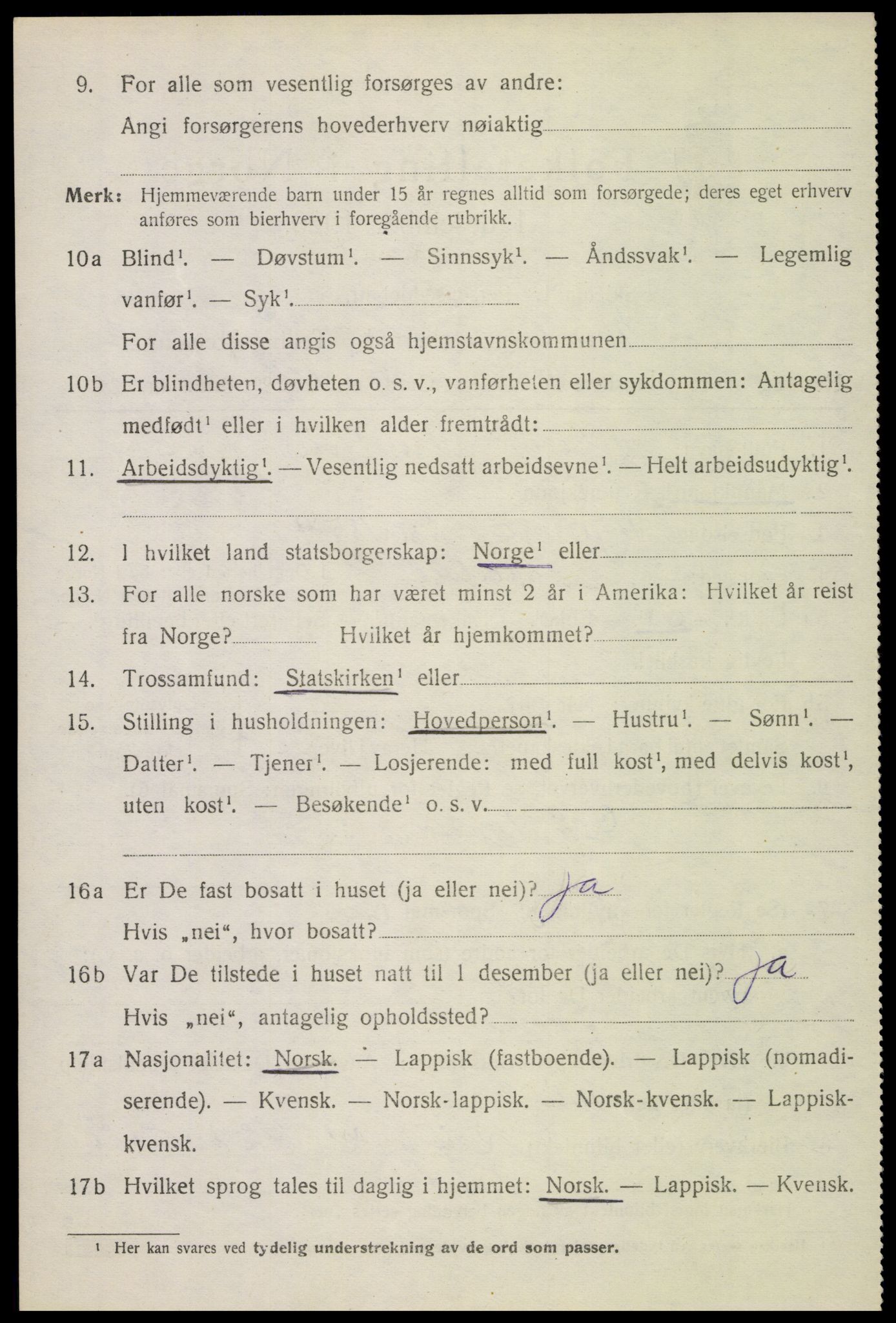 SAT, 1920 census for Bø, 1920, p. 2323