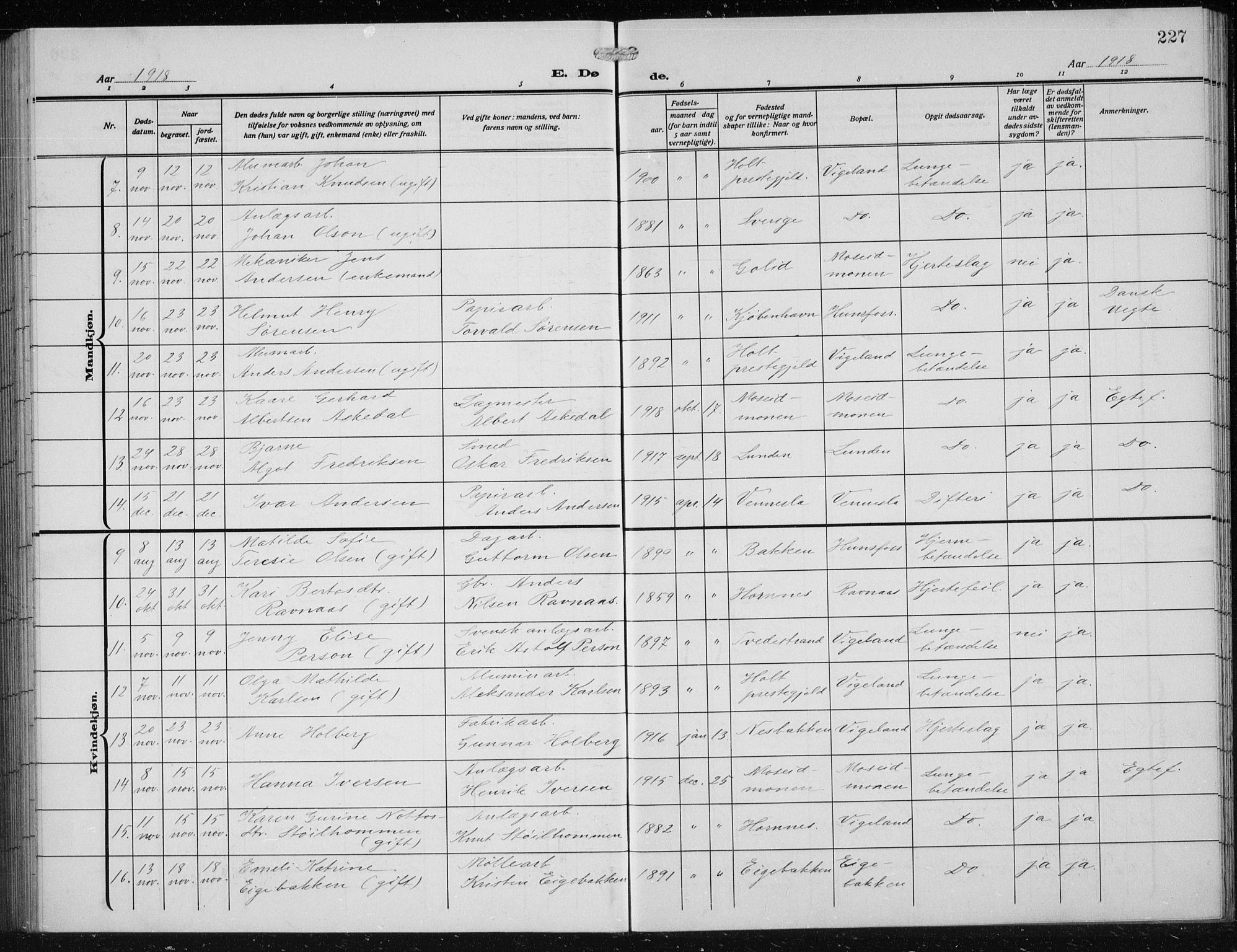 Vennesla sokneprestkontor, AV/SAK-1111-0045/Fb/Fbb/L0006: Parish register (copy) no. B 6, 1914-1921, p. 227