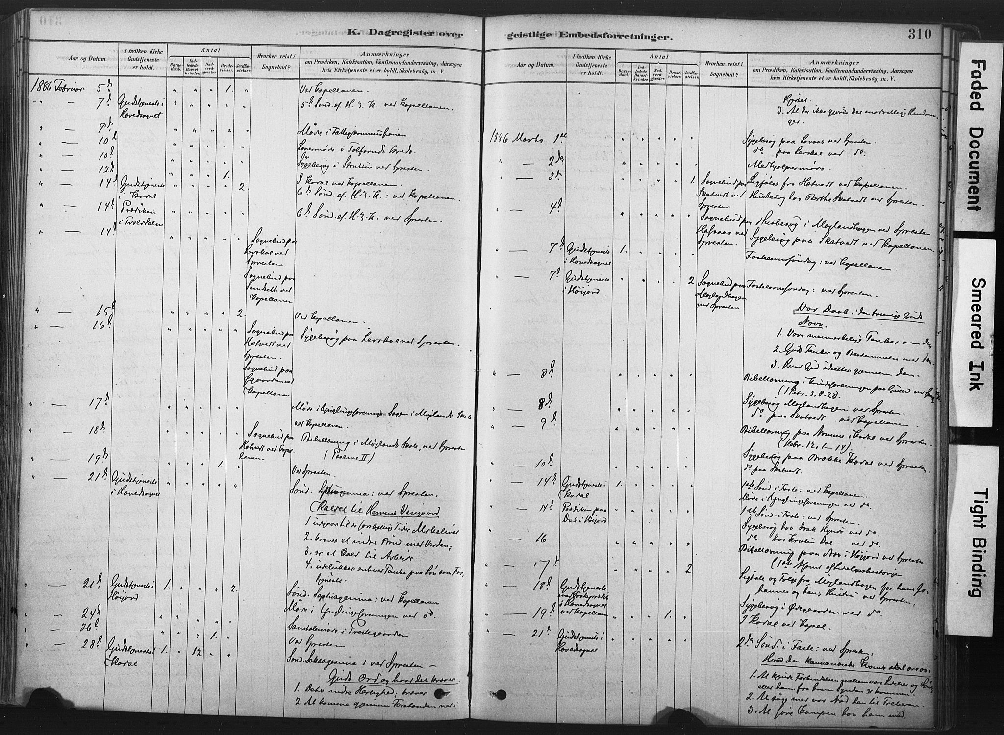 Andebu kirkebøker, AV/SAKO-A-336/F/Fa/L0007: Parish register (official) no. 7, 1878-1899, p. 310