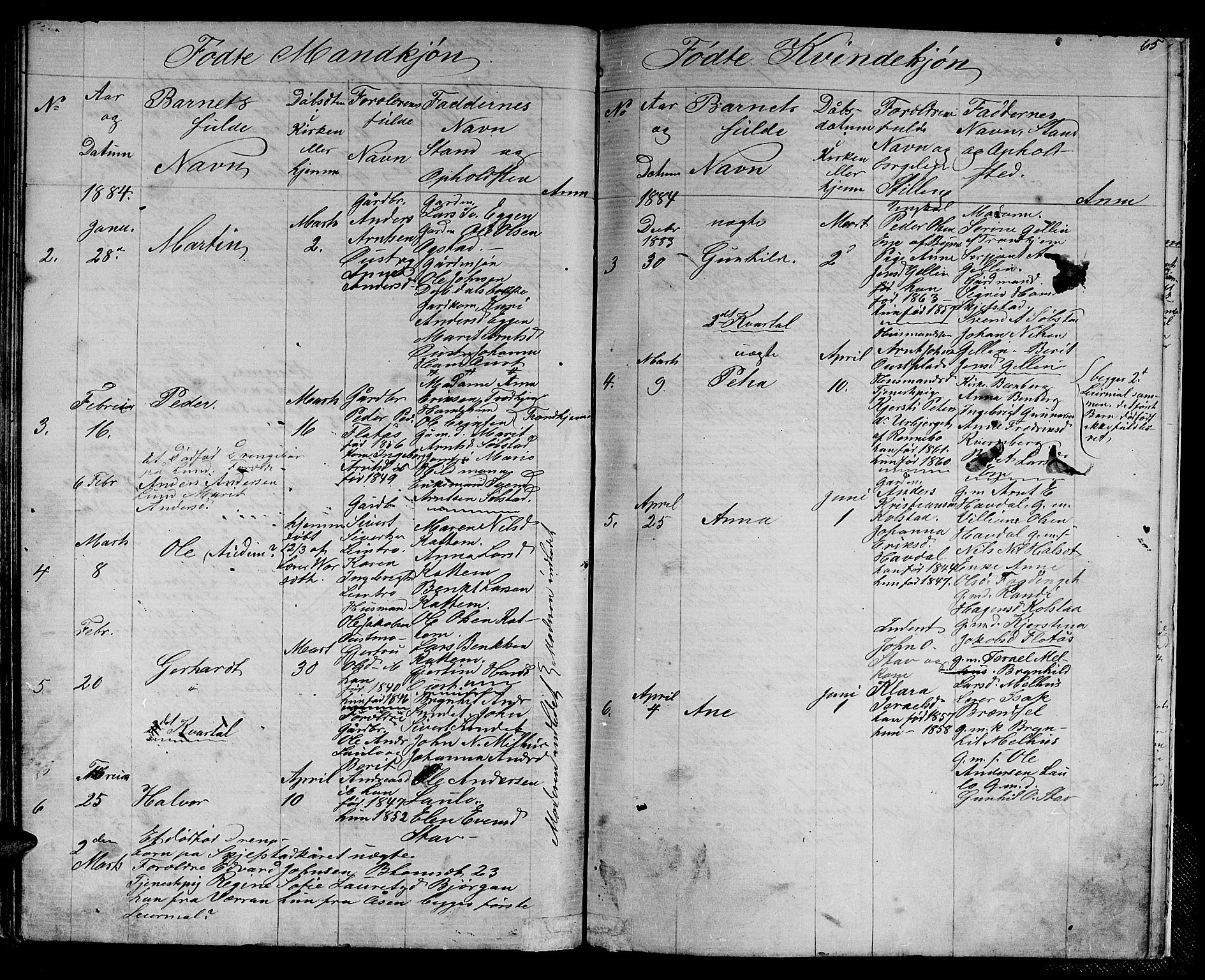 Ministerialprotokoller, klokkerbøker og fødselsregistre - Sør-Trøndelag, SAT/A-1456/613/L0394: Parish register (copy) no. 613C02, 1862-1886, p. 65