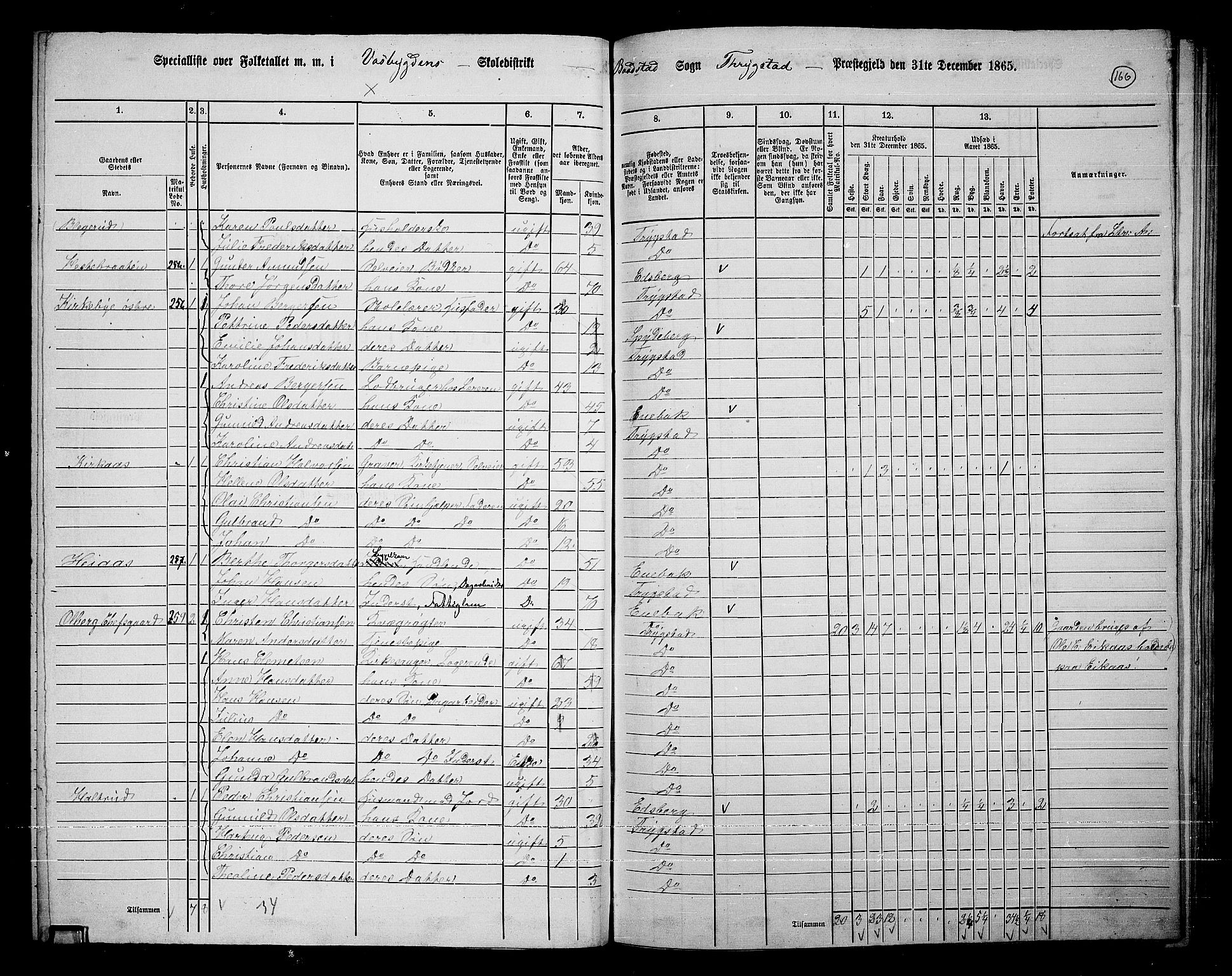 RA, 1865 census for Trøgstad, 1865, p. 146