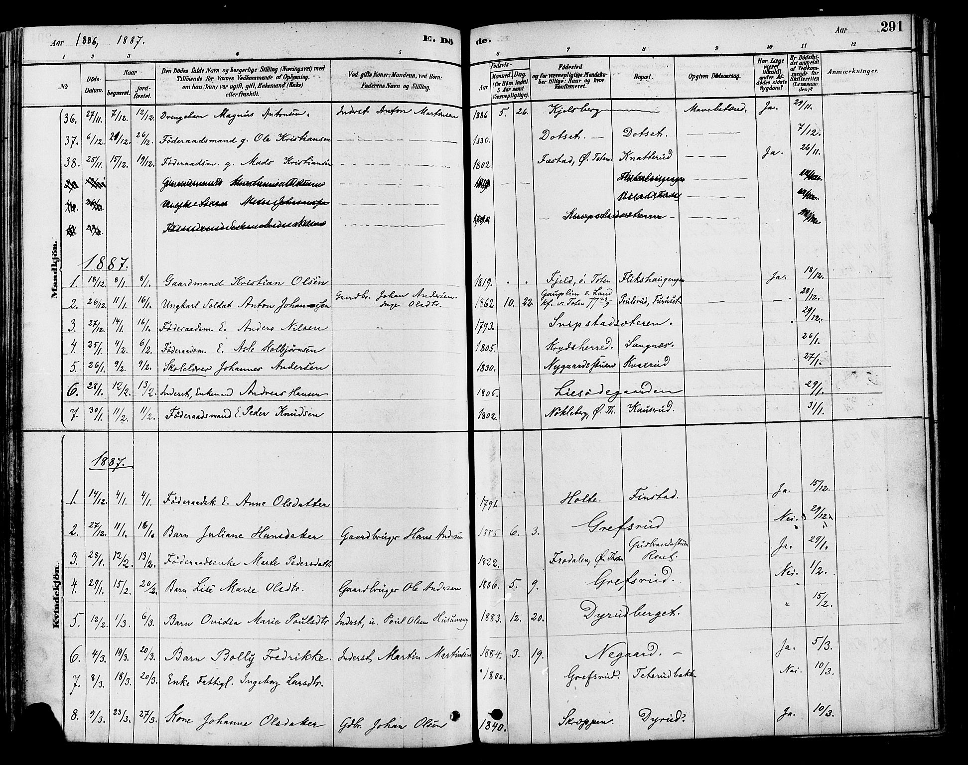 Vestre Toten prestekontor, SAH/PREST-108/H/Ha/Haa/L0009: Parish register (official) no. 9, 1878-1894, p. 291