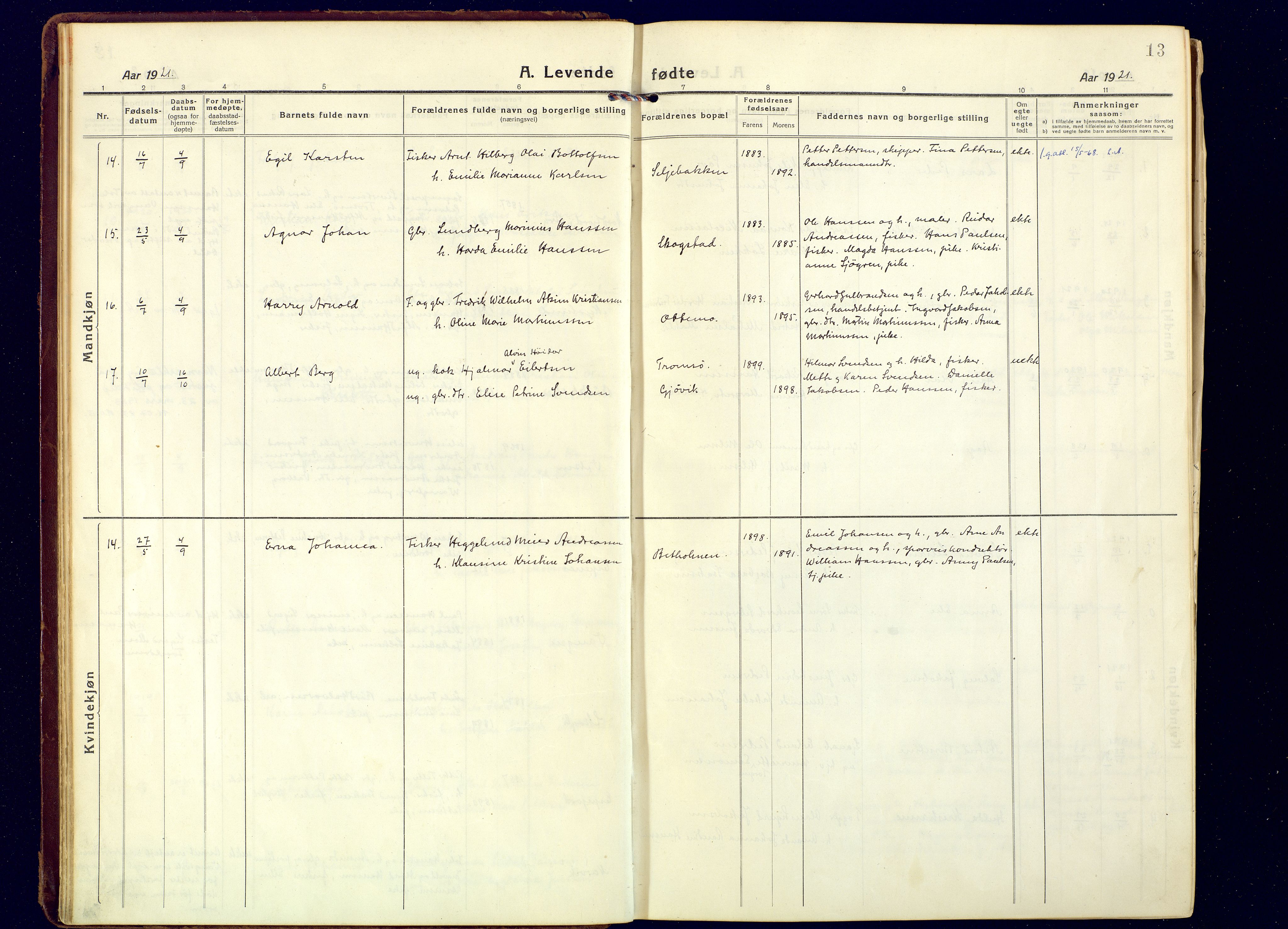 Tranøy sokneprestkontor, AV/SATØ-S-1313/I/Ia/Iaa/L0016kirke: Parish register (official) no. 16, 1919-1932, p. 13