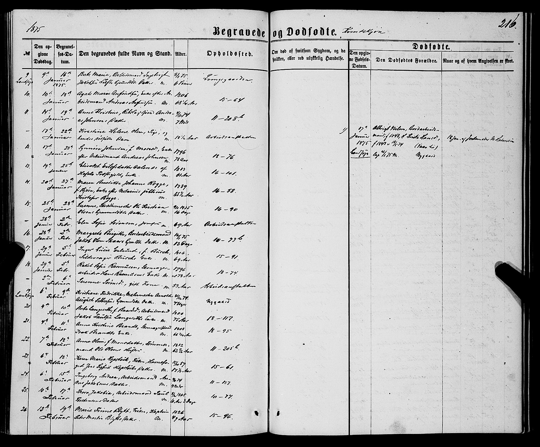 Domkirken sokneprestembete, AV/SAB-A-74801/H/Haa/L0042: Parish register (official) no. E 3, 1863-1876, p. 216