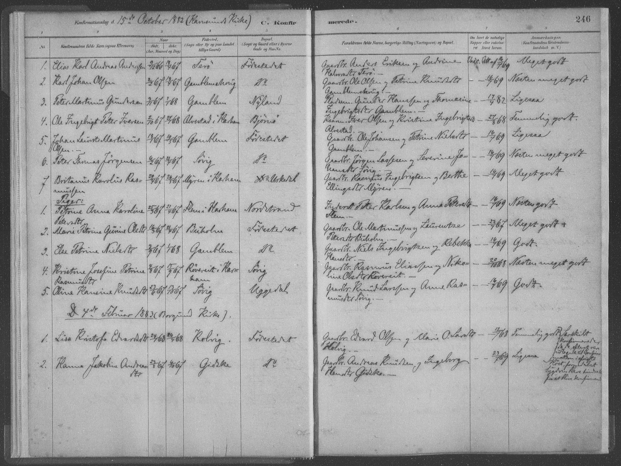 Ministerialprotokoller, klokkerbøker og fødselsregistre - Møre og Romsdal, SAT/A-1454/528/L0402: Parish register (official) no. 528A12II, 1880-1903, p. 246