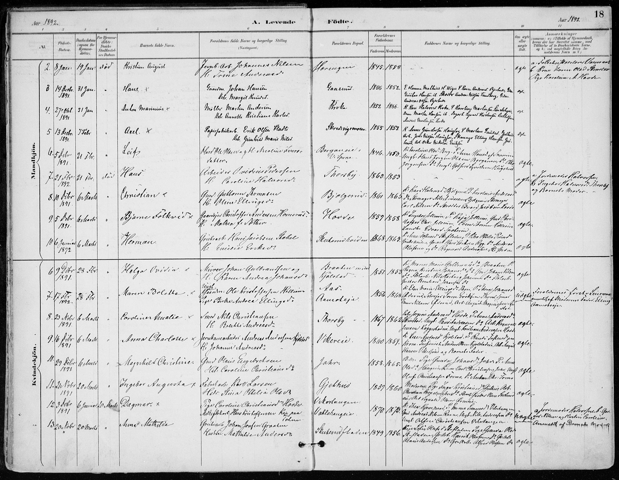 Modum kirkebøker, AV/SAKO-A-234/F/Fa/L0012: Parish register (official) no. 12, 1890-1898, p. 18