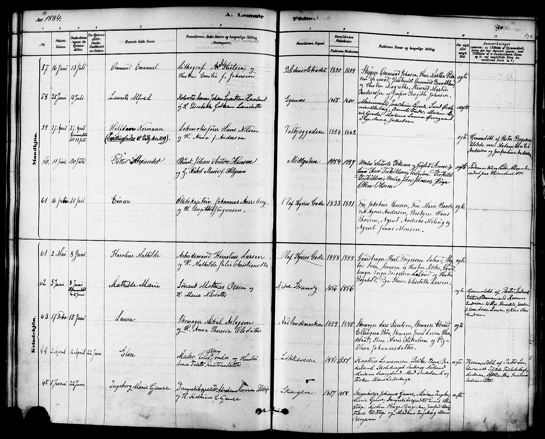 Domkirken sokneprestkontor, SAST/A-101812/001/30/30BA/L0026: Parish register (official) no. A 25, 1878-1889, p. 172