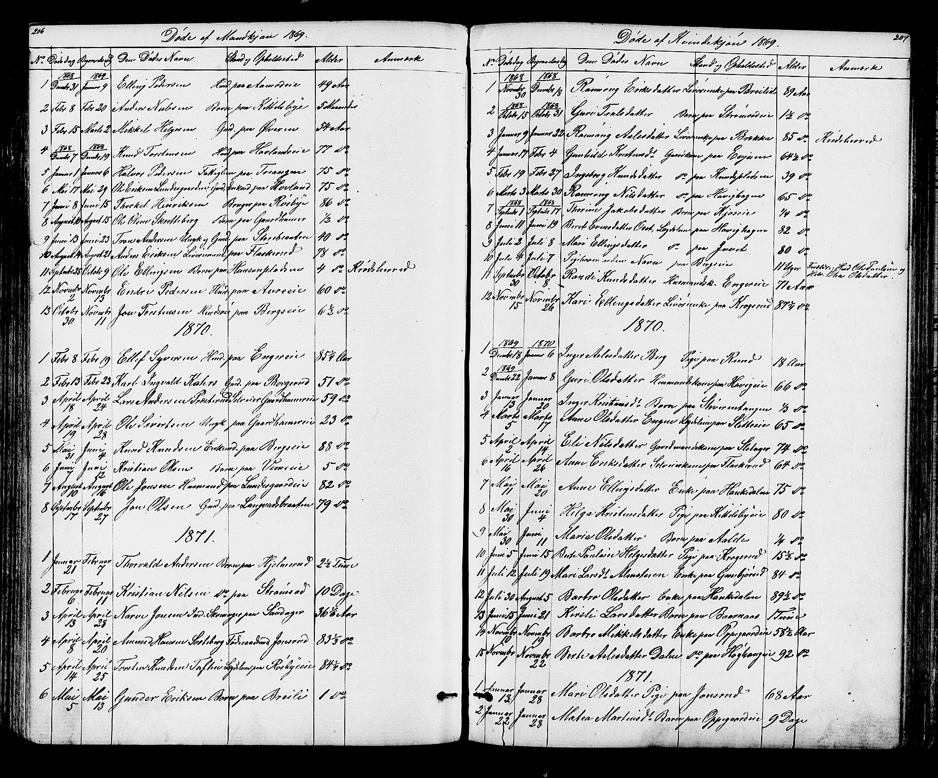 Lunder kirkebøker, SAKO/A-629/G/Ga/L0003a: Parish register (copy) no. I 3, 1869-1888, p. 206-207