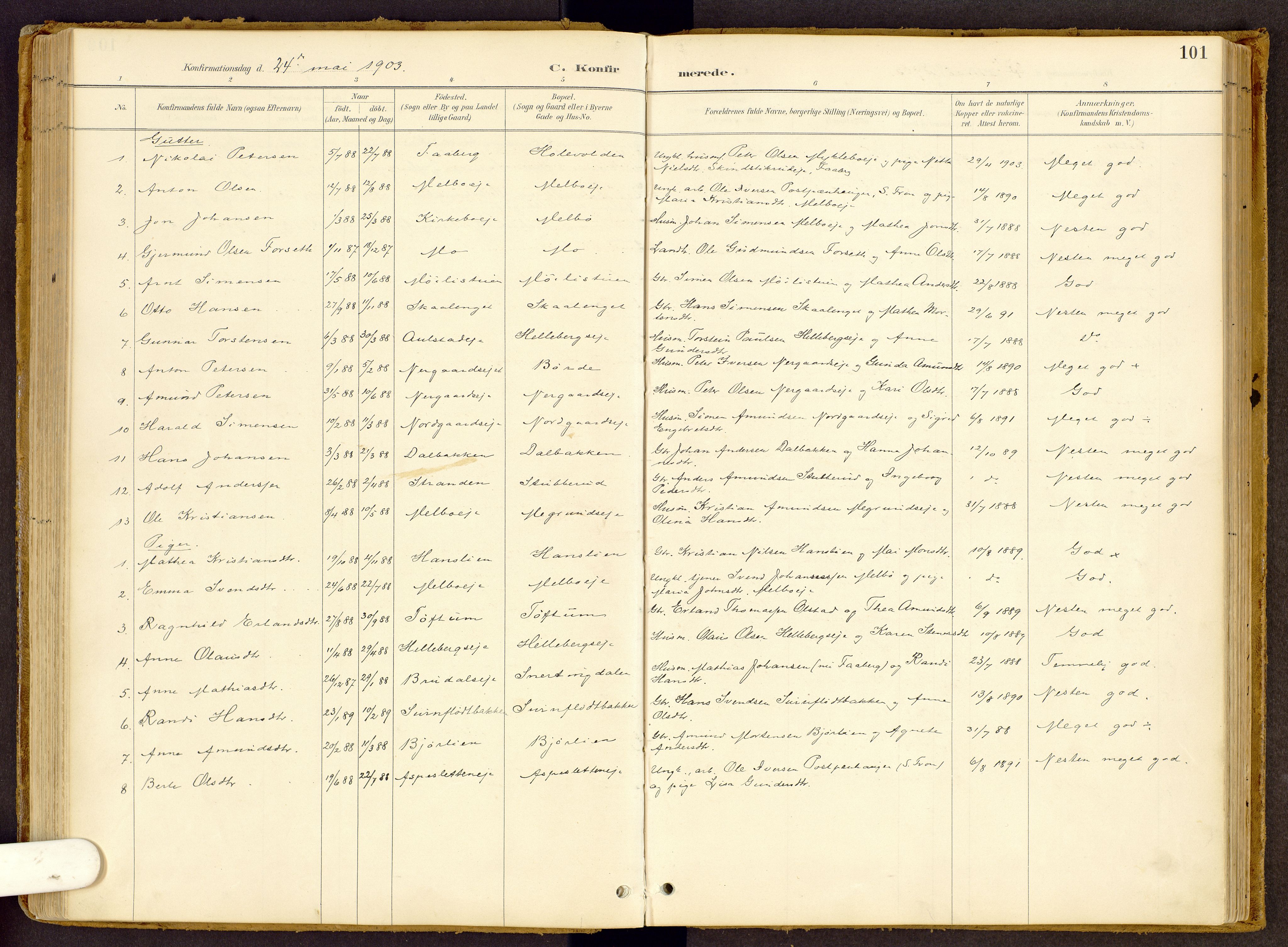 Vestre Gausdal prestekontor, SAH/PREST-094/H/Ha/Haa/L0002: Parish register (official) no. 2, 1887-1918, p. 101