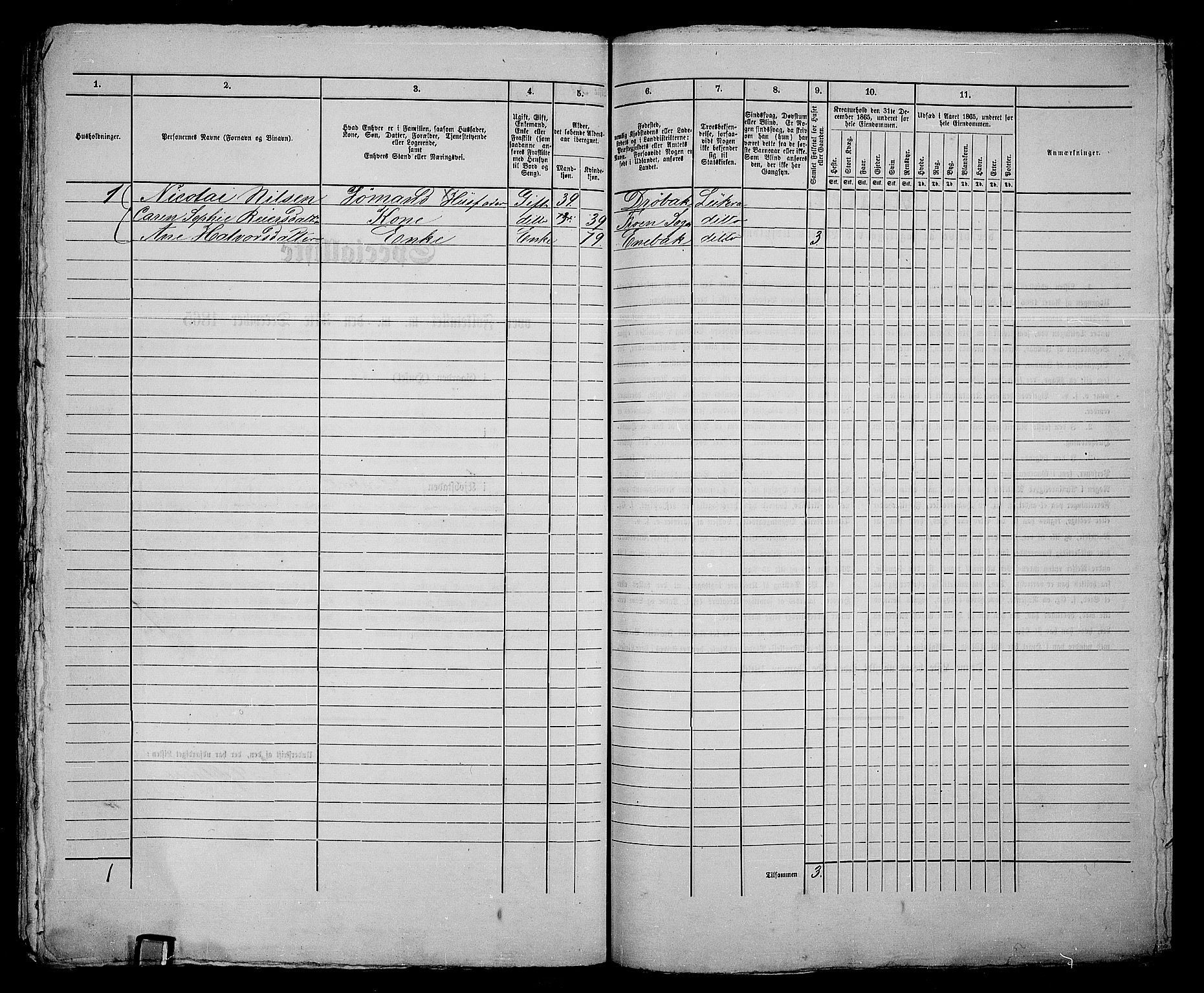 RA, 1865 census for Drøbak/Drøbak, 1865, p. 428