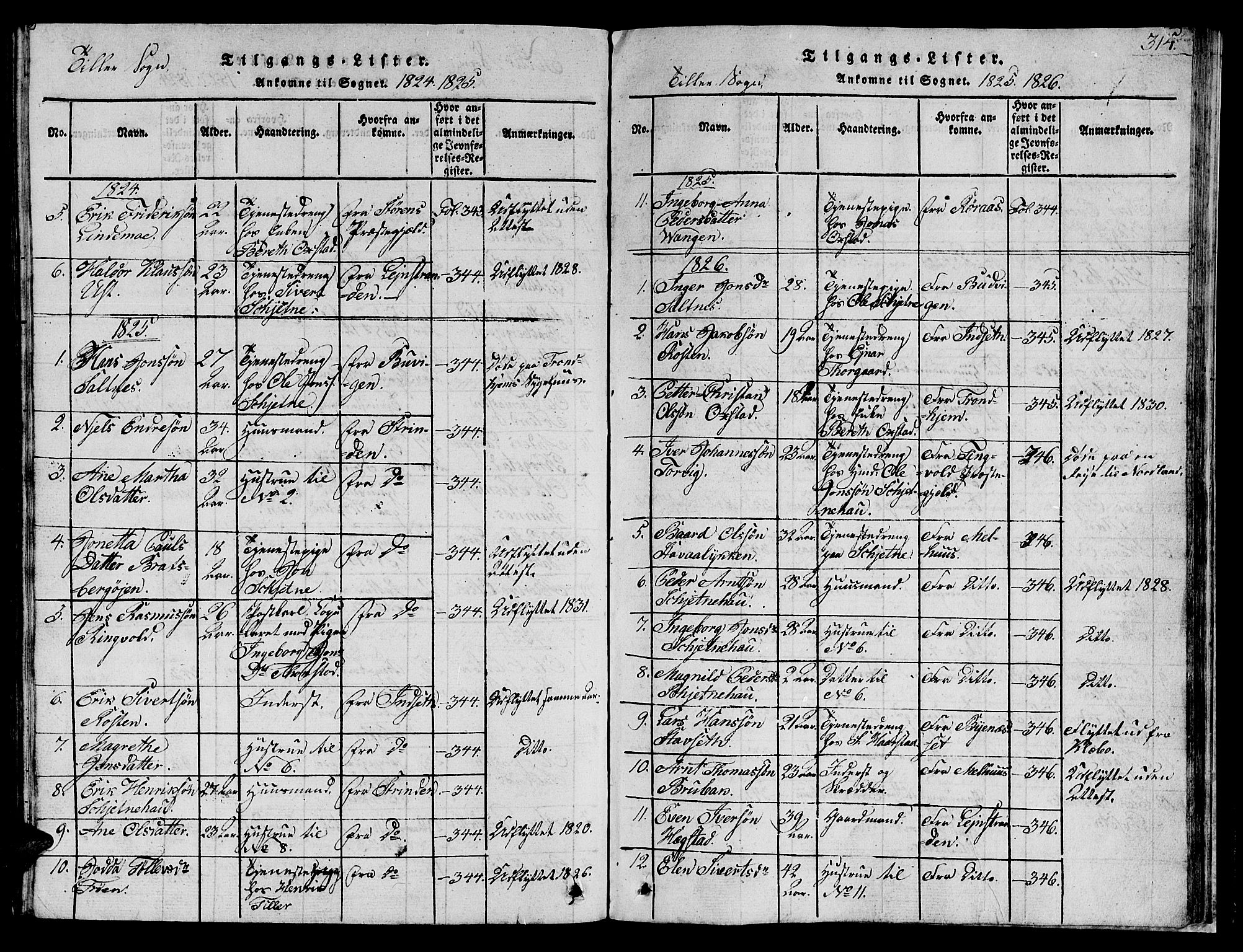 Ministerialprotokoller, klokkerbøker og fødselsregistre - Sør-Trøndelag, SAT/A-1456/621/L0458: Parish register (copy) no. 621C01, 1816-1865, p. 314