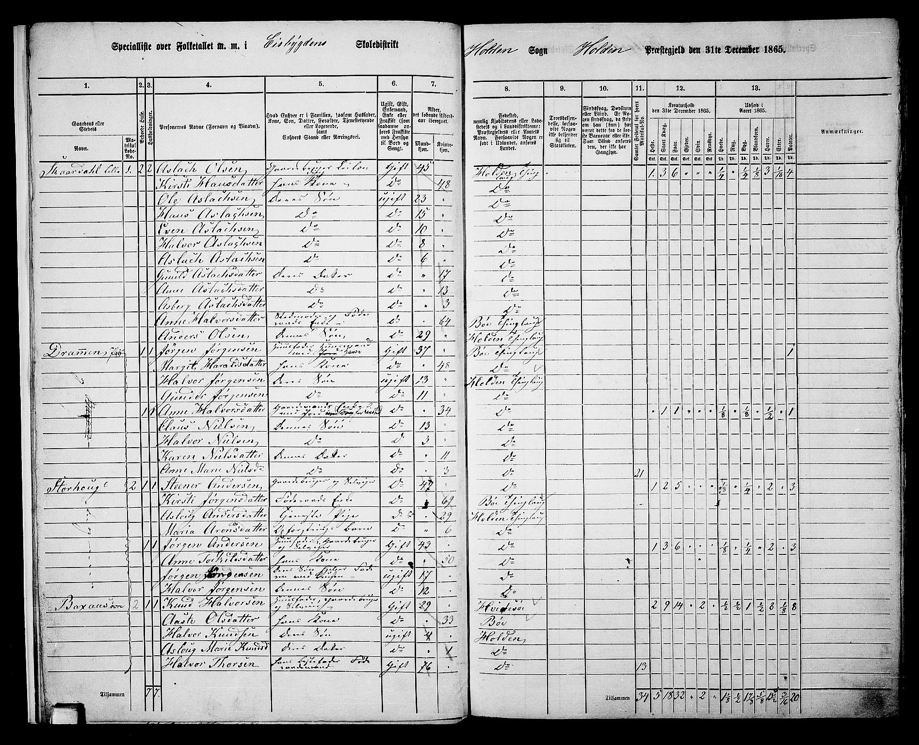 RA, 1865 census for Holla, 1865, p. 13