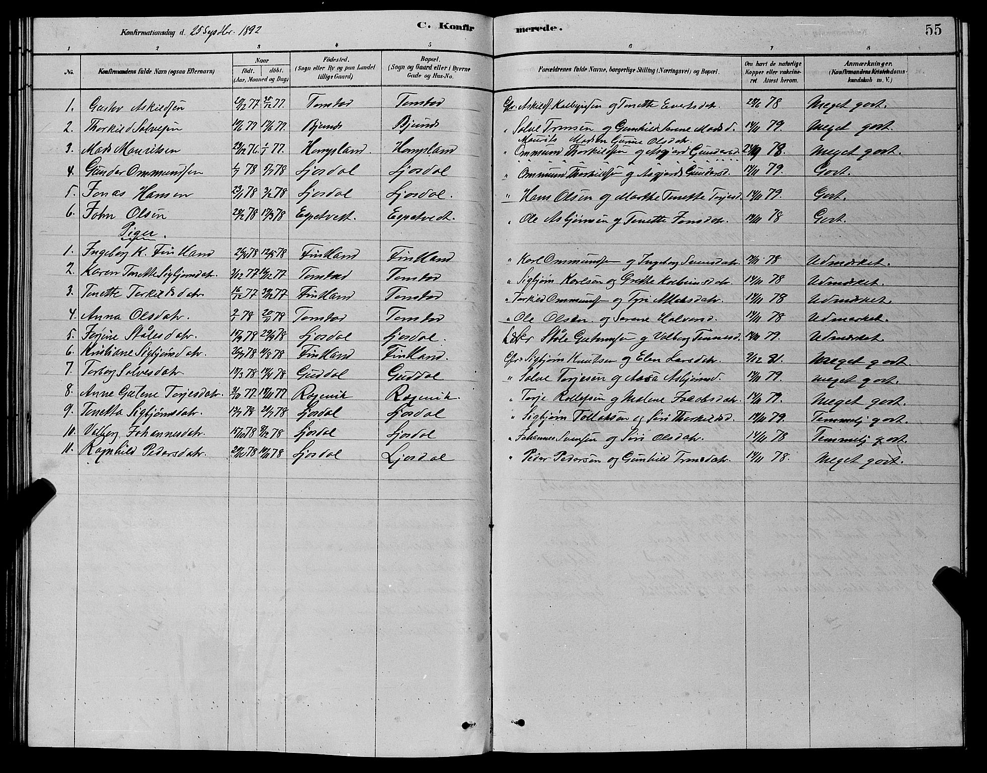 Sirdal sokneprestkontor, AV/SAK-1111-0036/F/Fb/Fbb/L0003: Parish register (copy) no. B 3, 1878-1894, p. 55