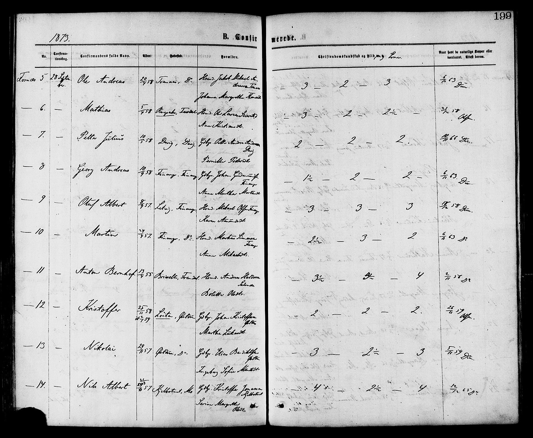 Ministerialprotokoller, klokkerbøker og fødselsregistre - Nord-Trøndelag, AV/SAT-A-1458/773/L0616: Parish register (official) no. 773A07, 1870-1887, p. 199