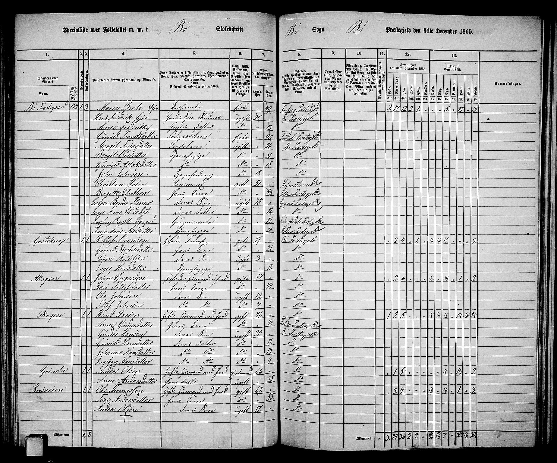 RA, 1865 census for Bø, 1865, p. 108
