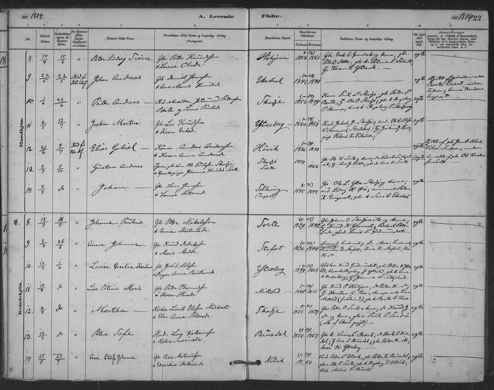 Ministerialprotokoller, klokkerbøker og fødselsregistre - Møre og Romsdal, AV/SAT-A-1454/524/L0356: Parish register (official) no. 524A08, 1880-1899, p. 22