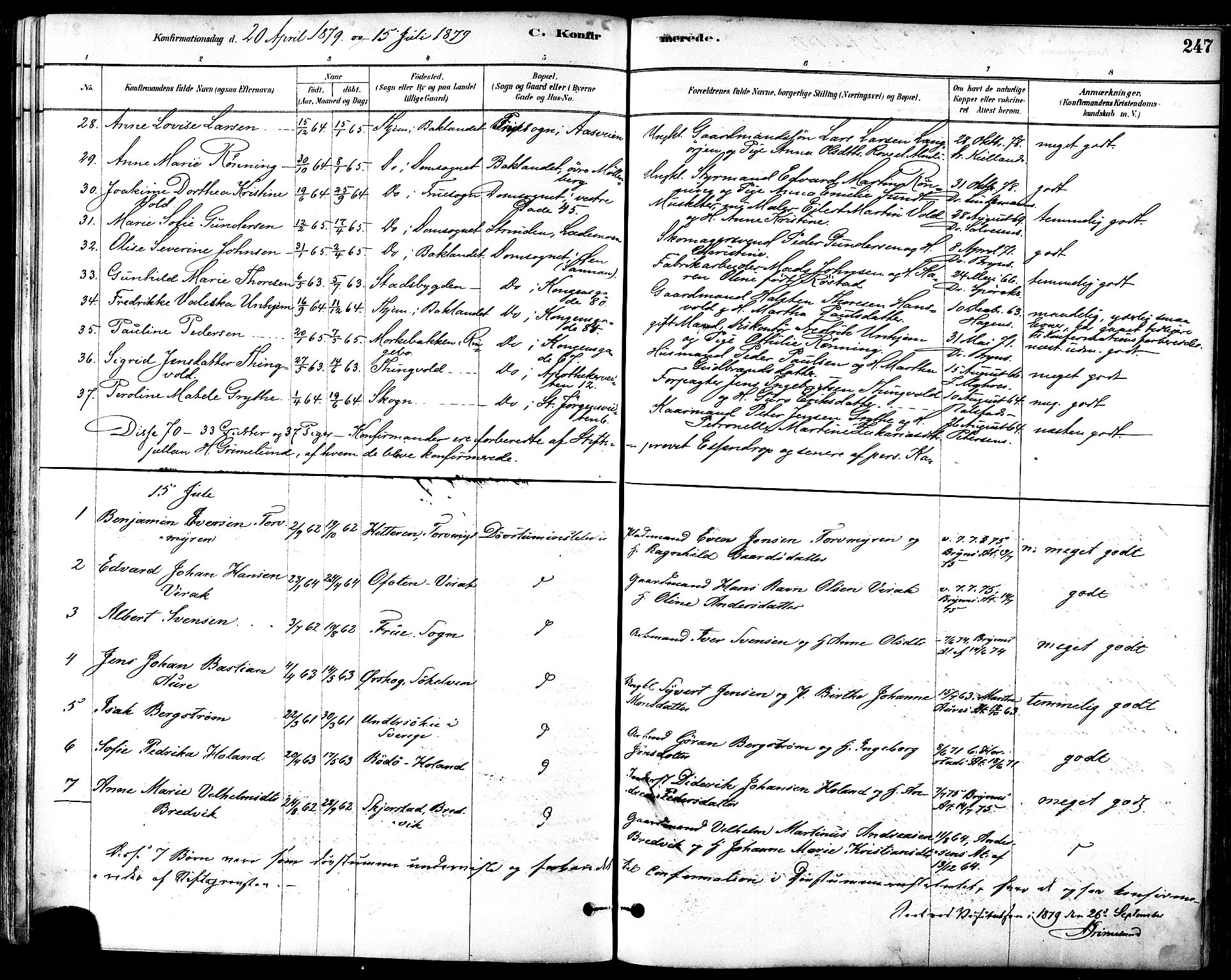 Ministerialprotokoller, klokkerbøker og fødselsregistre - Sør-Trøndelag, AV/SAT-A-1456/601/L0057: Parish register (official) no. 601A25, 1877-1891, p. 247