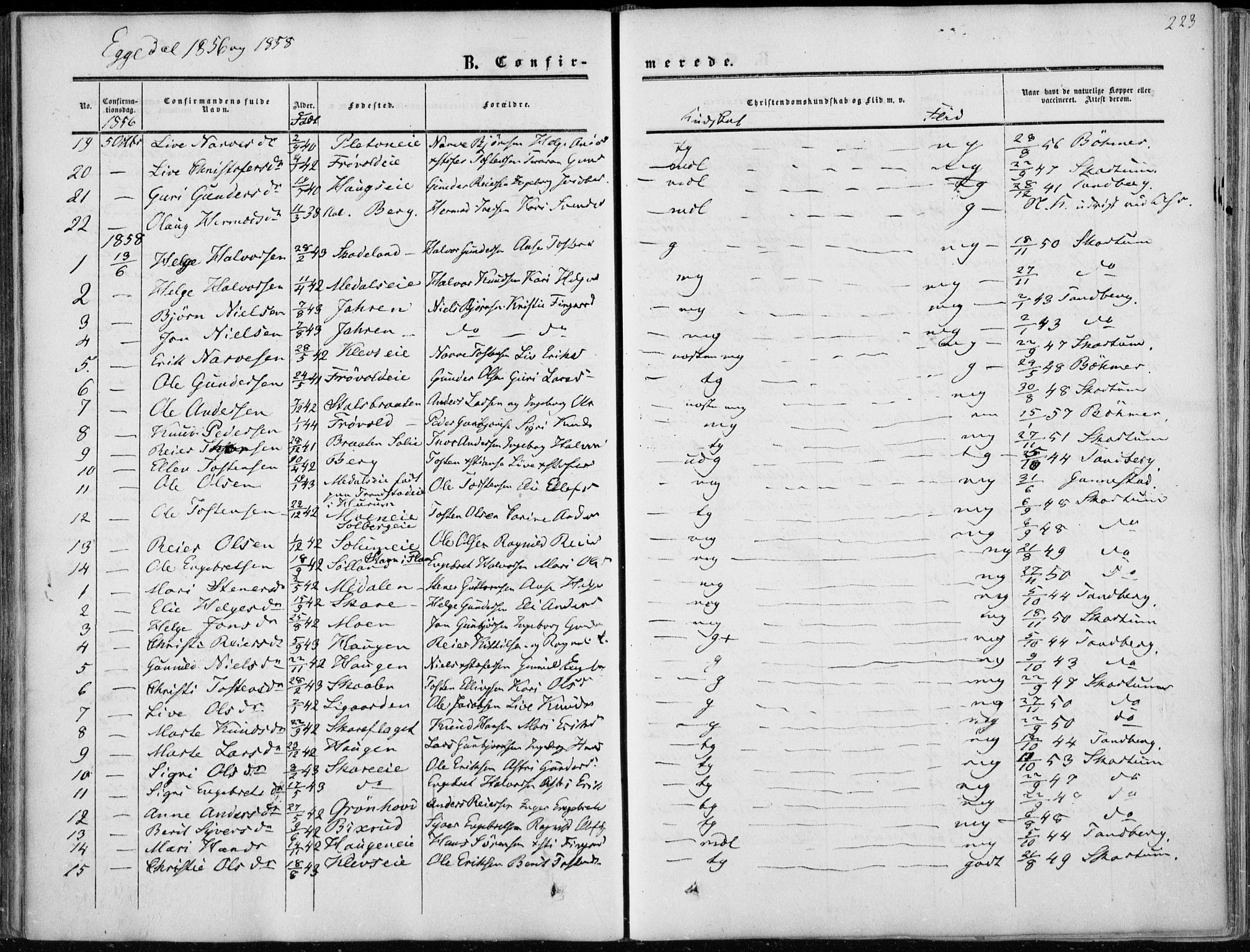 Sigdal kirkebøker, AV/SAKO-A-245/F/Fa/L0008: Parish register (official) no. I 8, 1850-1859, p. 223