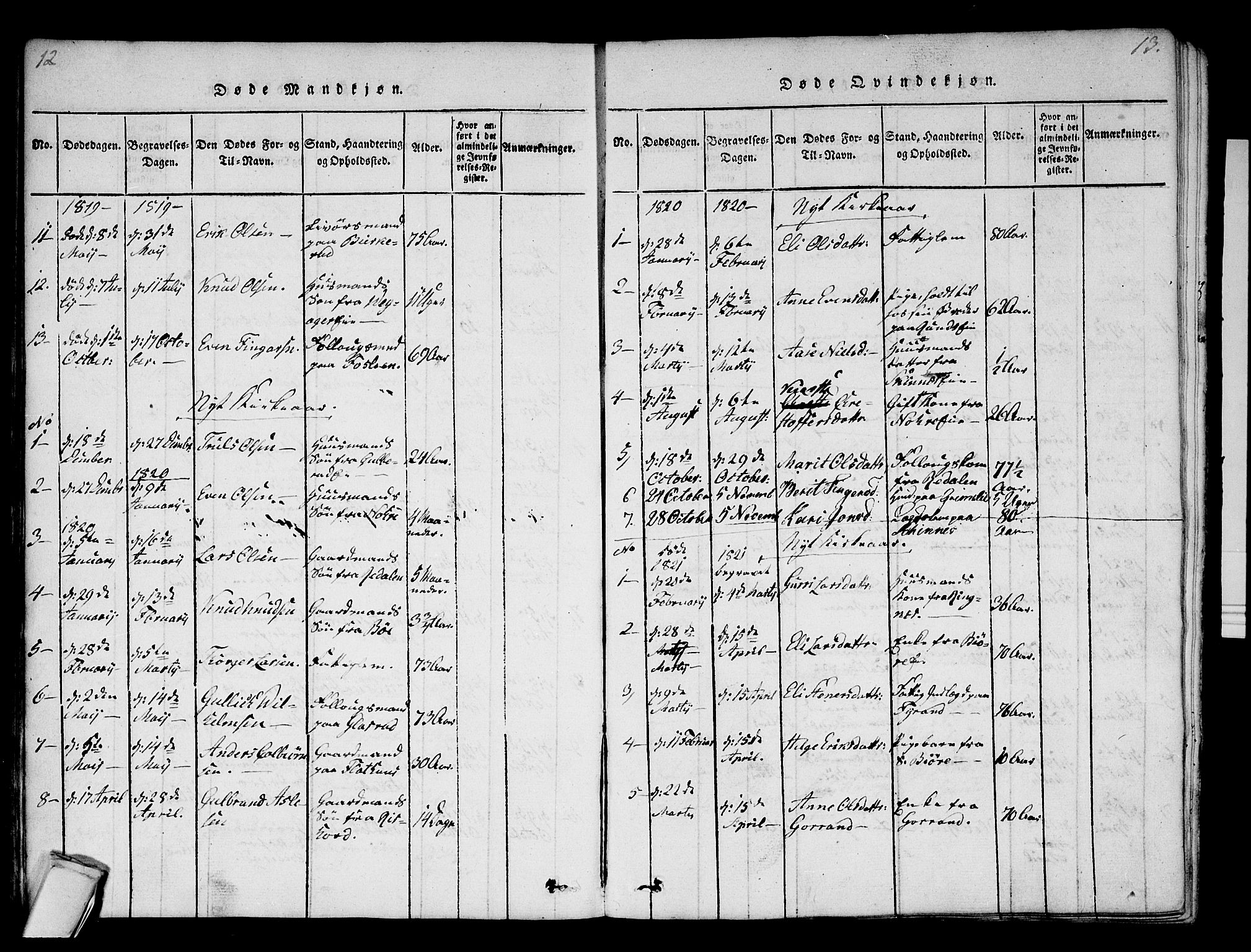 Krødsherad kirkebøker, AV/SAKO-A-19/F/Fa/L0001: Parish register (official) no. 1, 1815-1829, p. 12-13