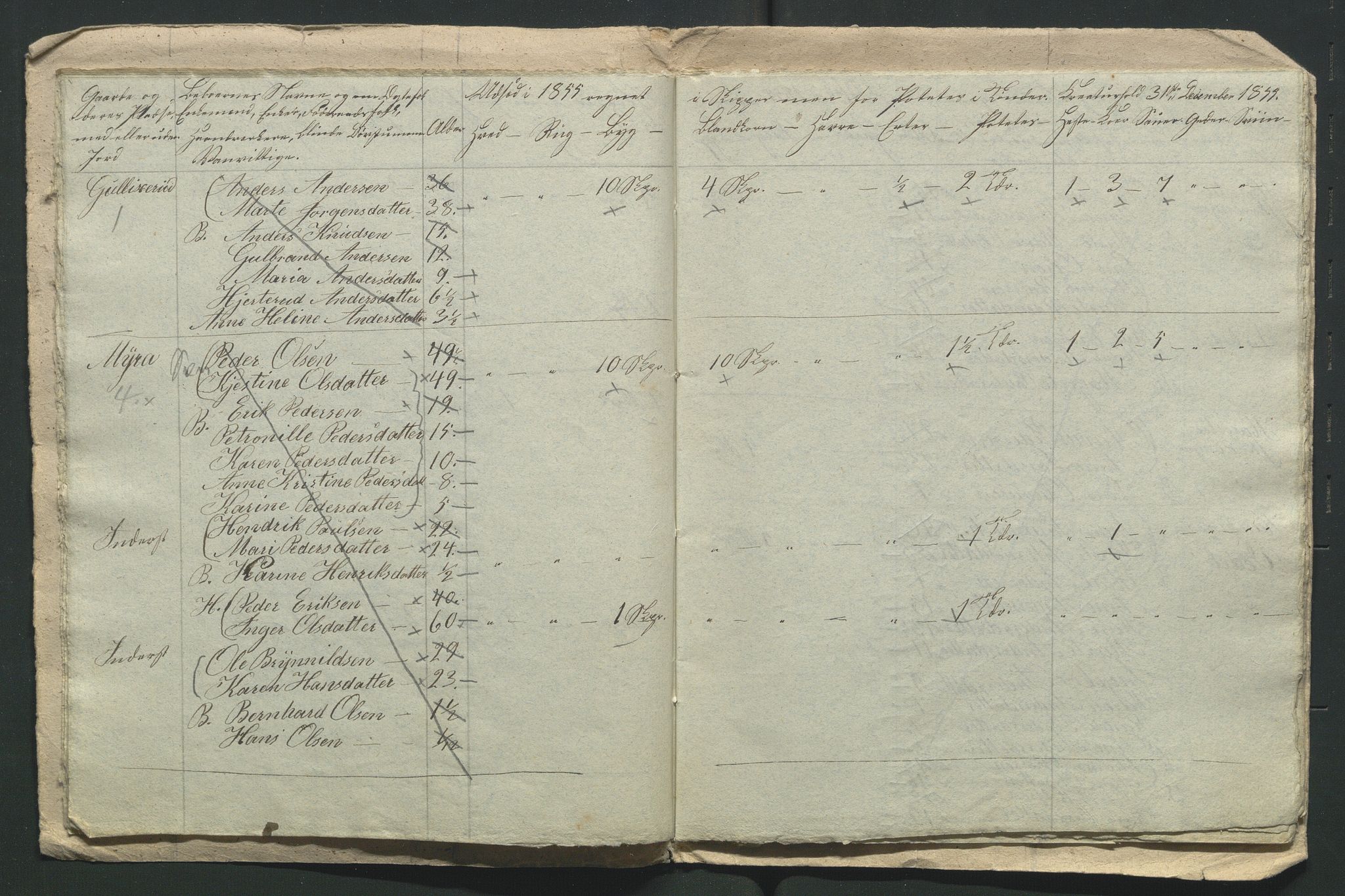 SAH, 1855 Census for Jevnaker parish, 1855, p. 200